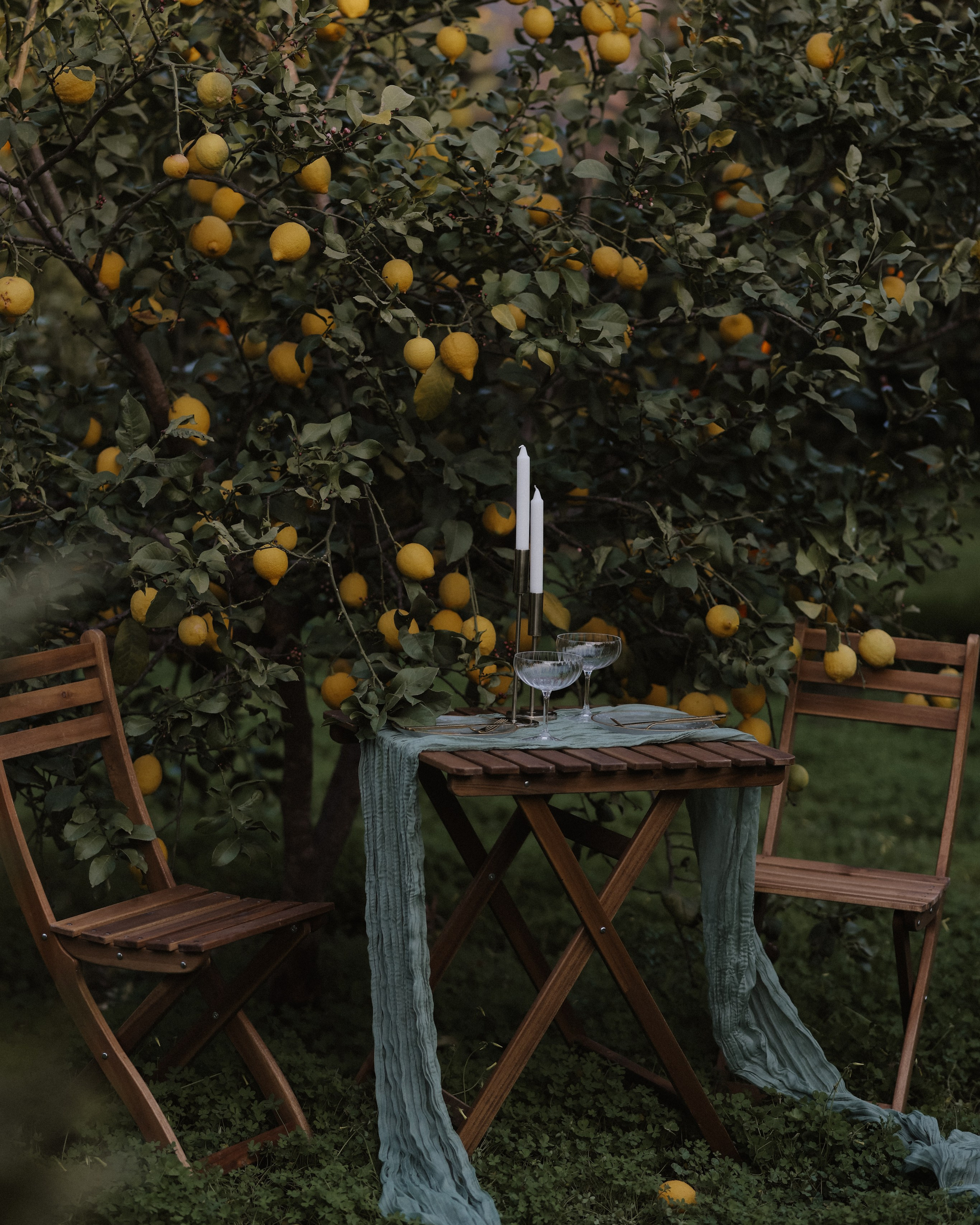 Пикник для двоих.