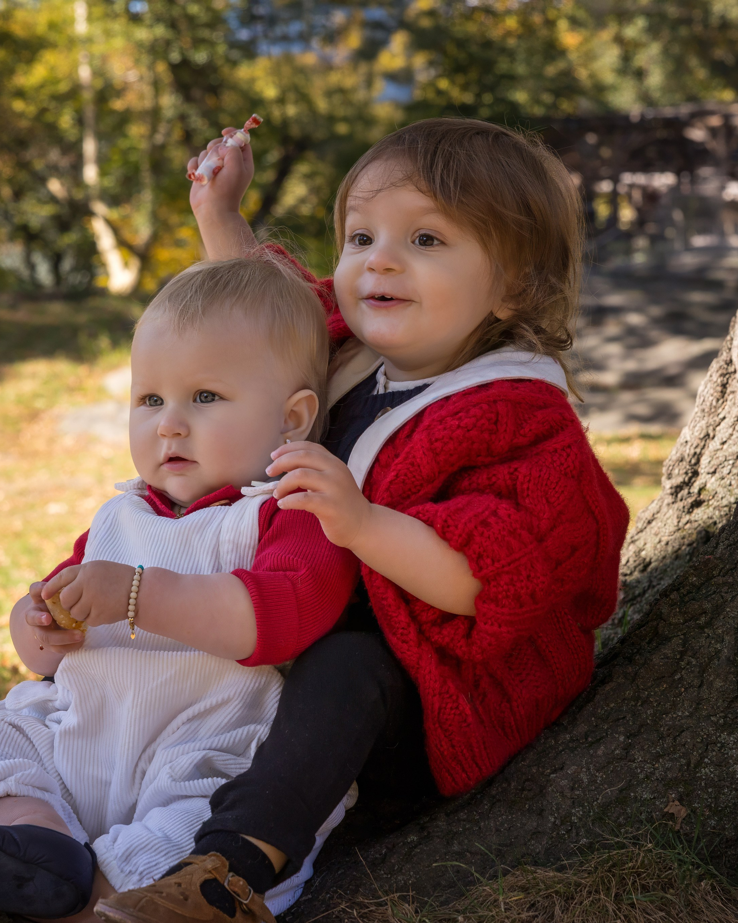 Little Moments, Big Love