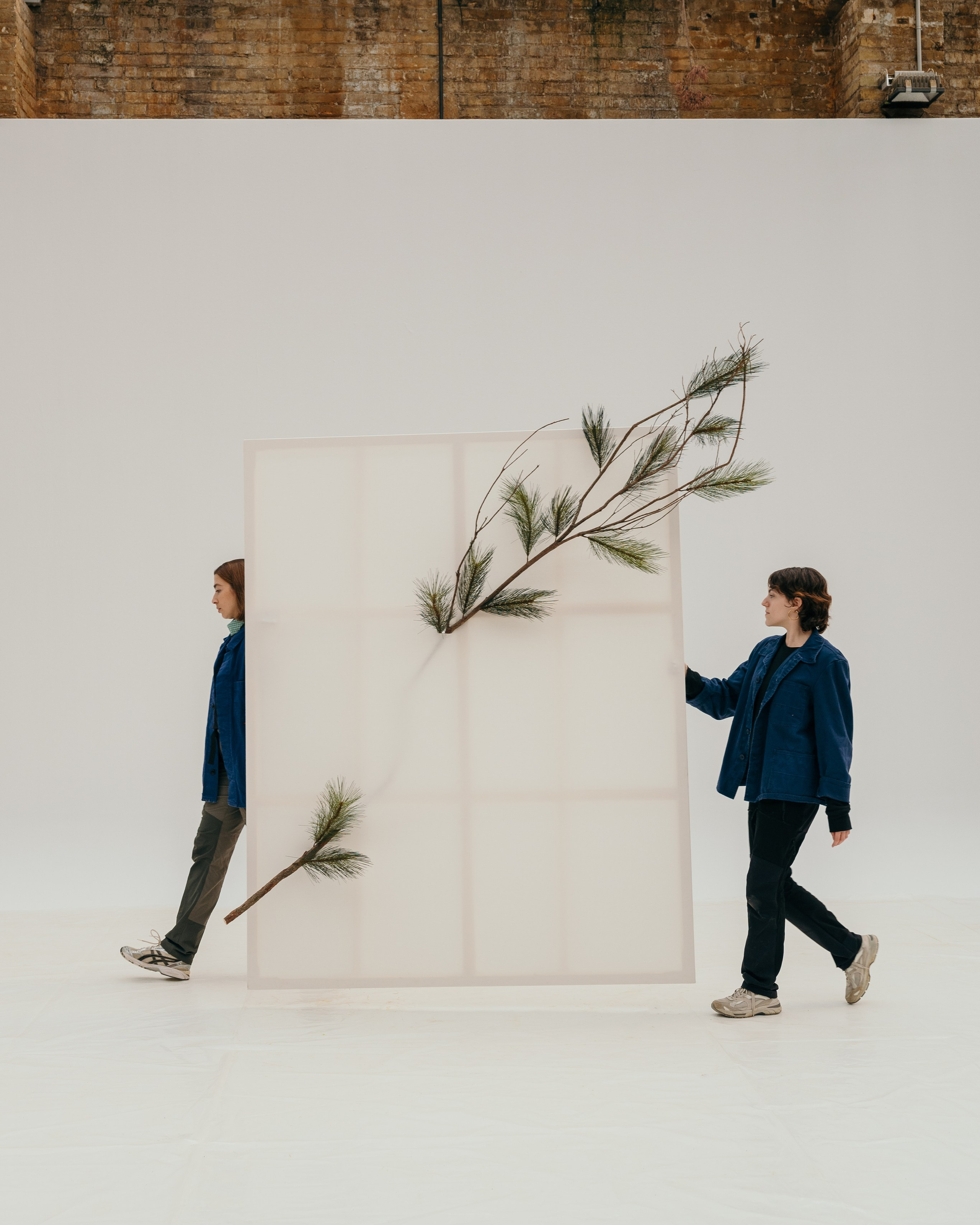 Plant Curators — Flowers by Bornay