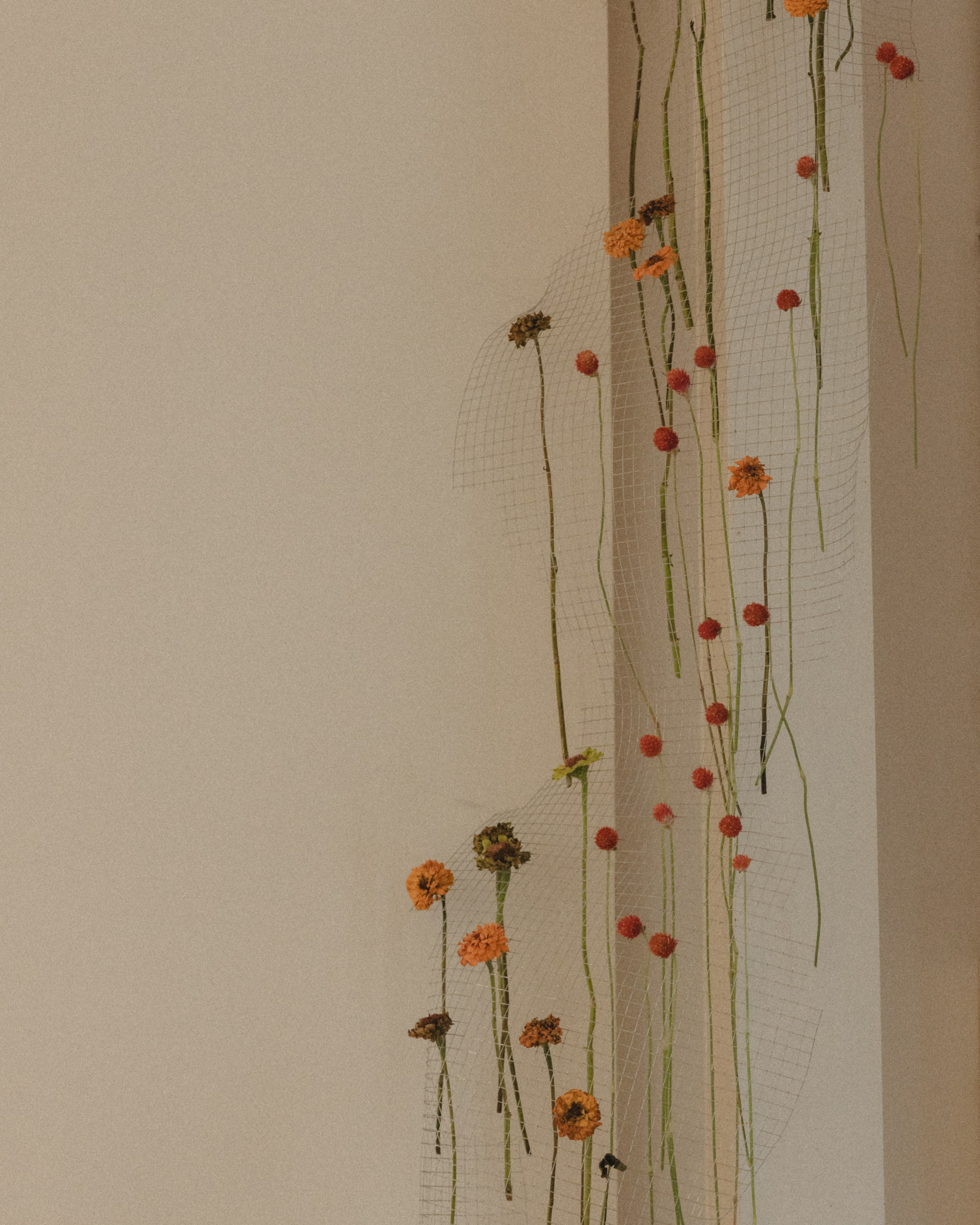 Floral design for Cycles: an exhibition by Kamila Solarz