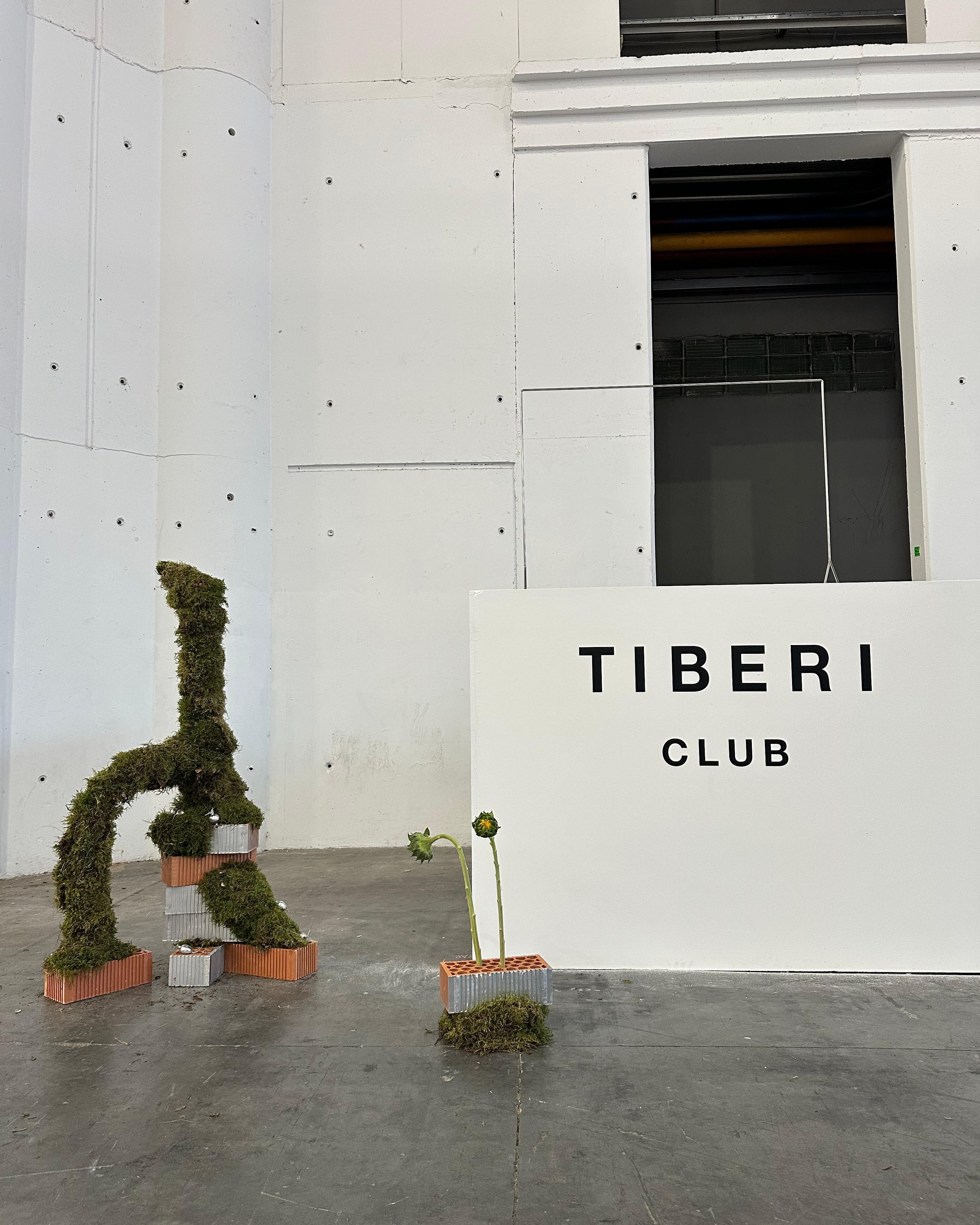 PICNIC.LAB for Tiberi Club en SWAB Barcelona 2025