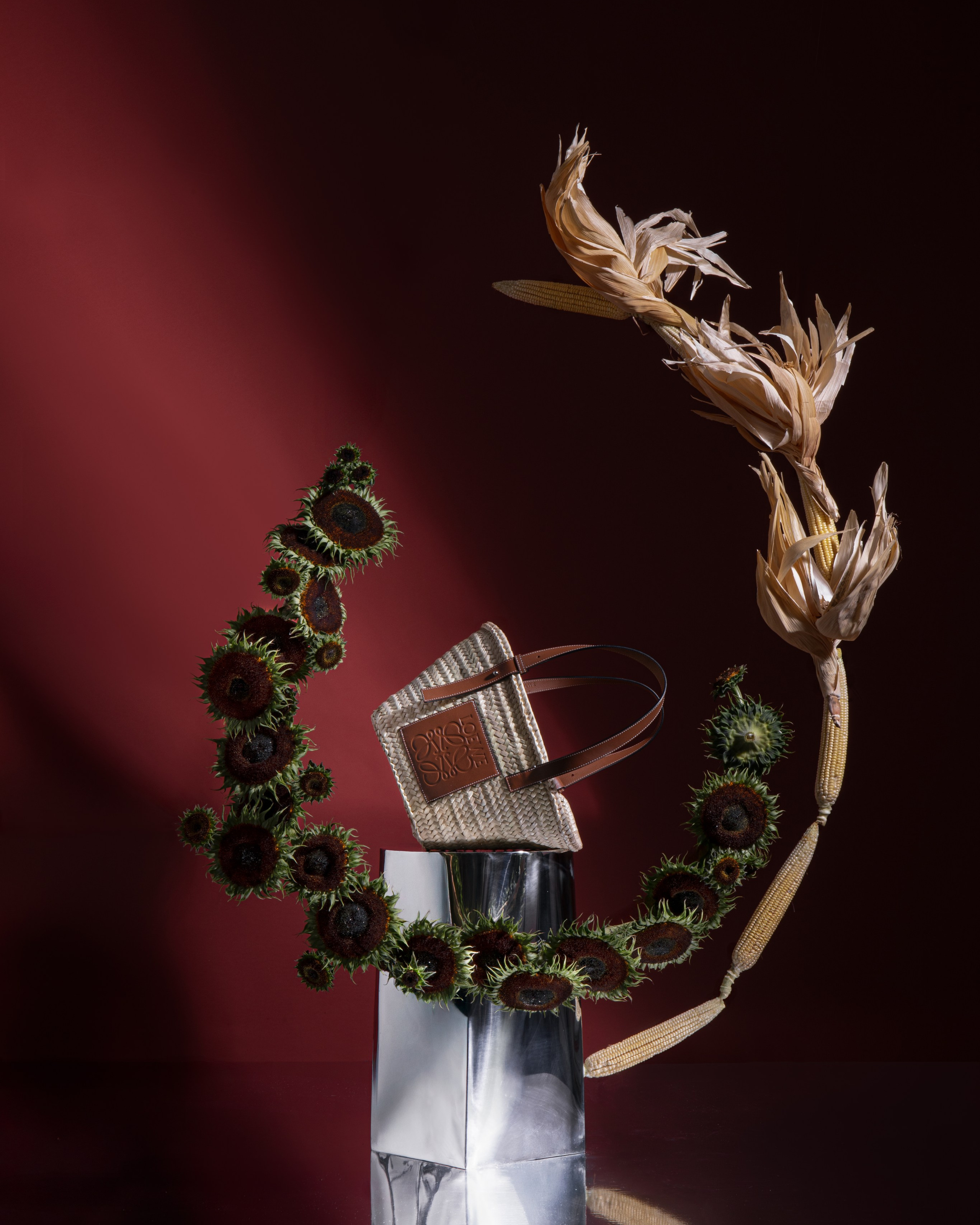 Editorial for LOEWE x Madrid Flower School