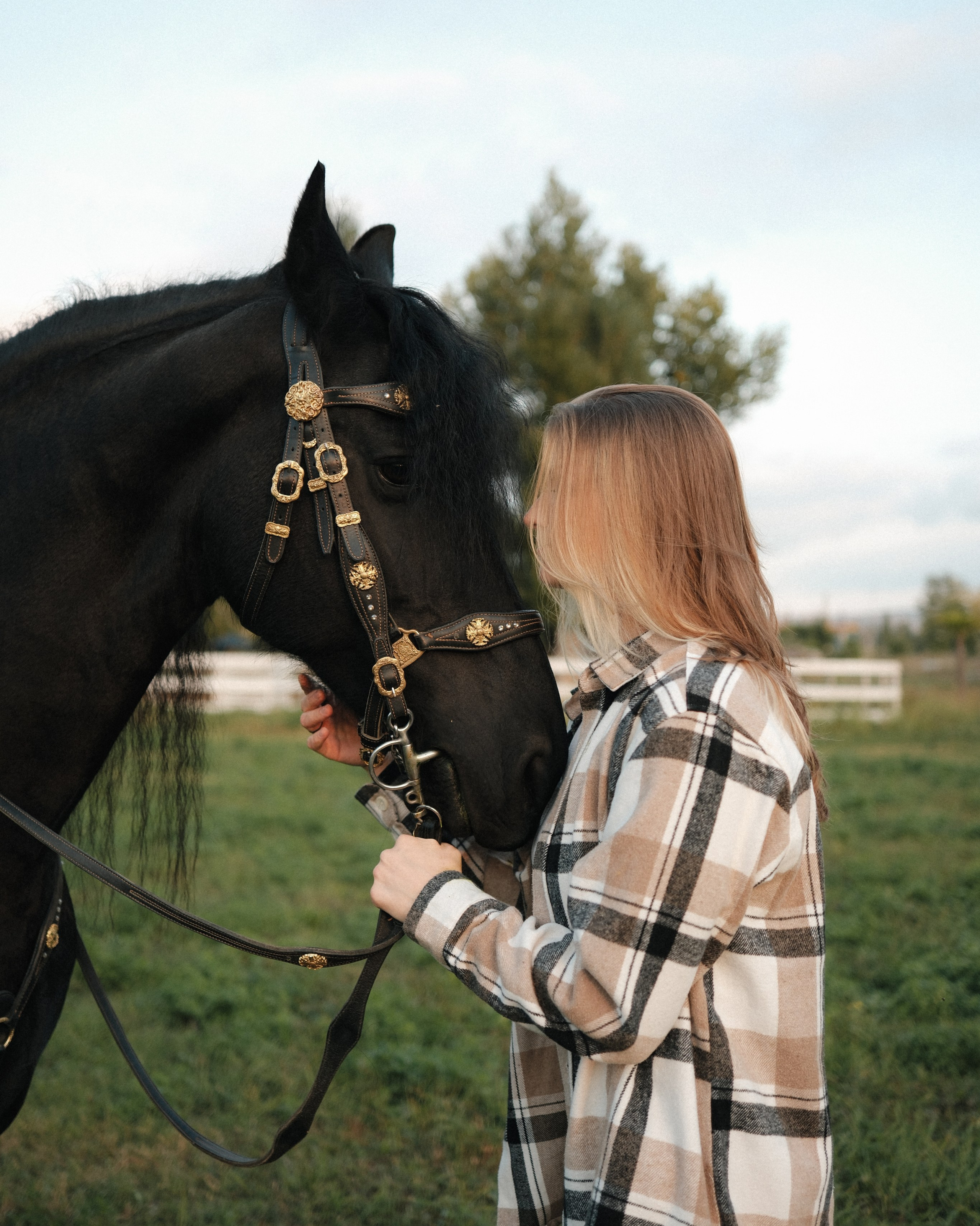Horse photoshoot | Elena