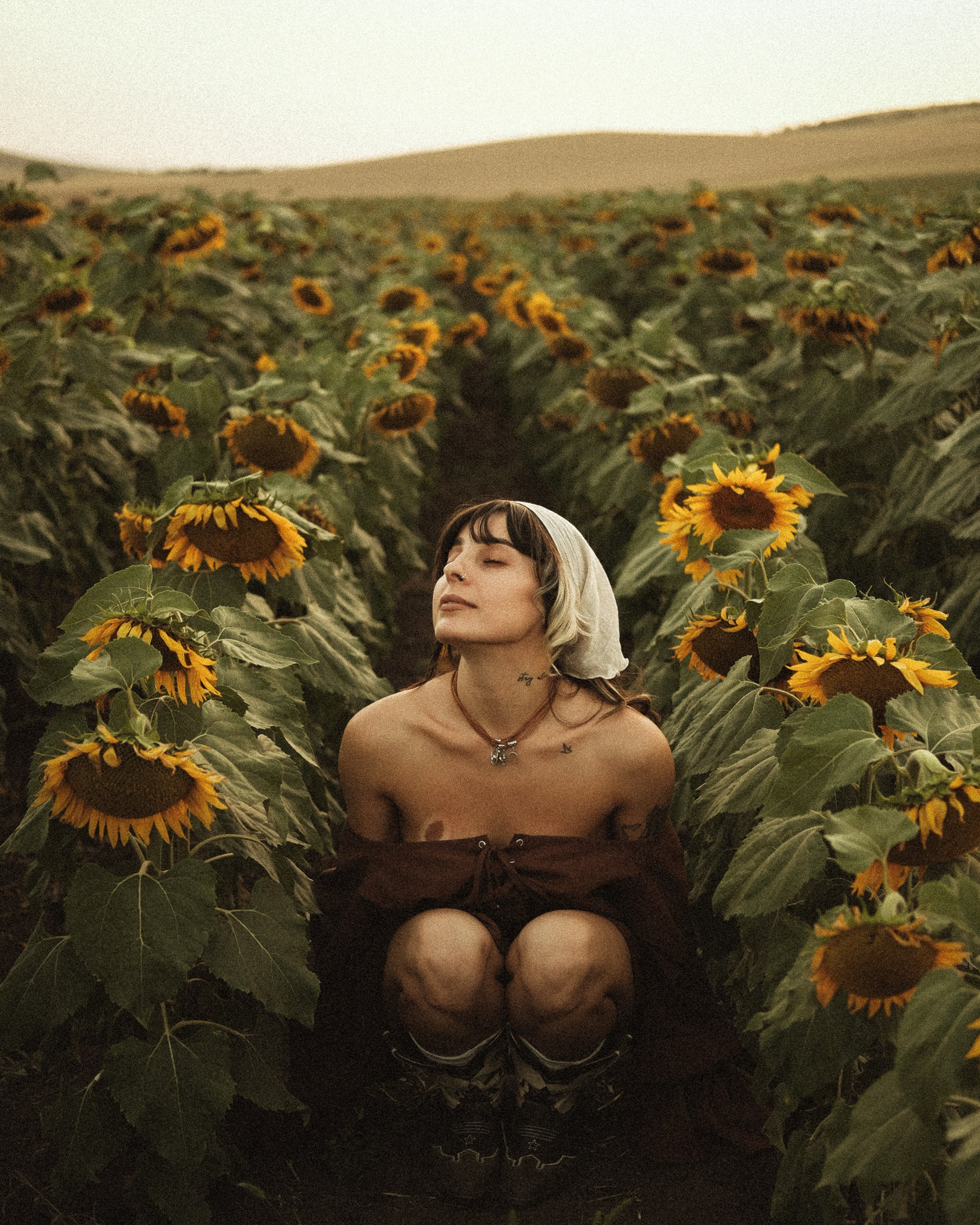 In sunflowers | Meri