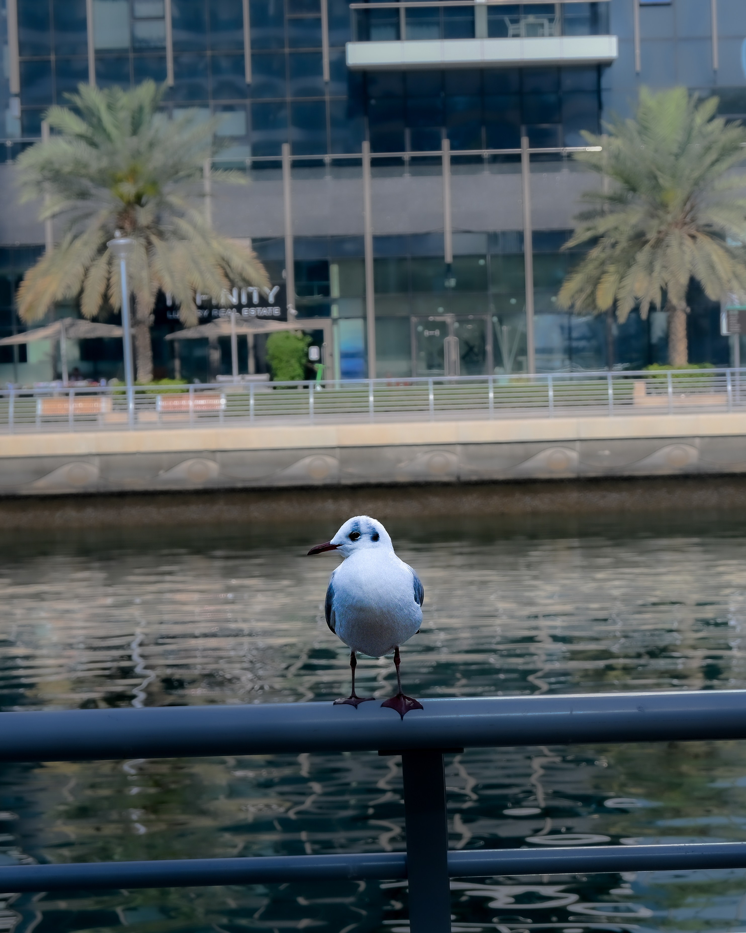 Простые фотографии