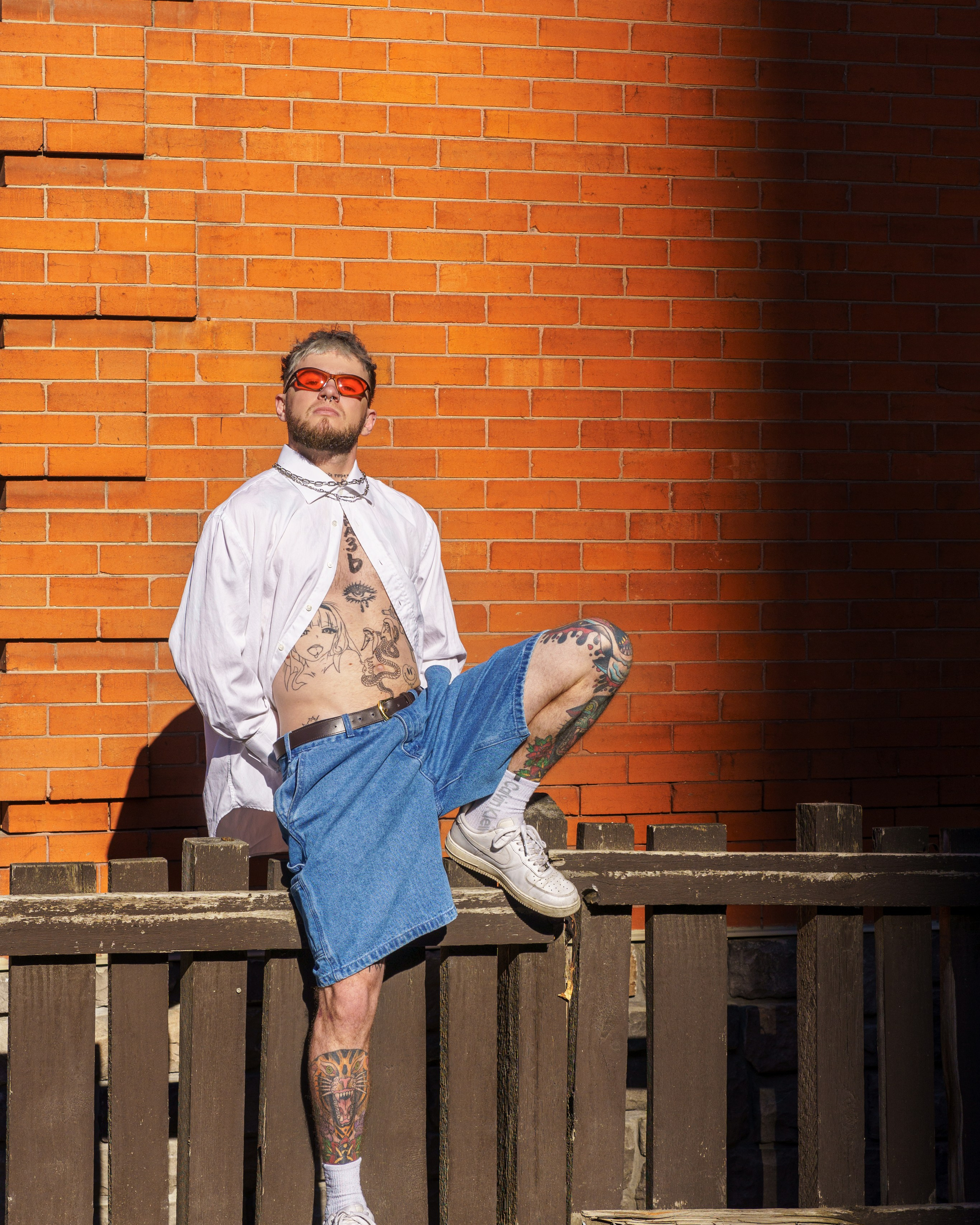 Segey: Living canvas