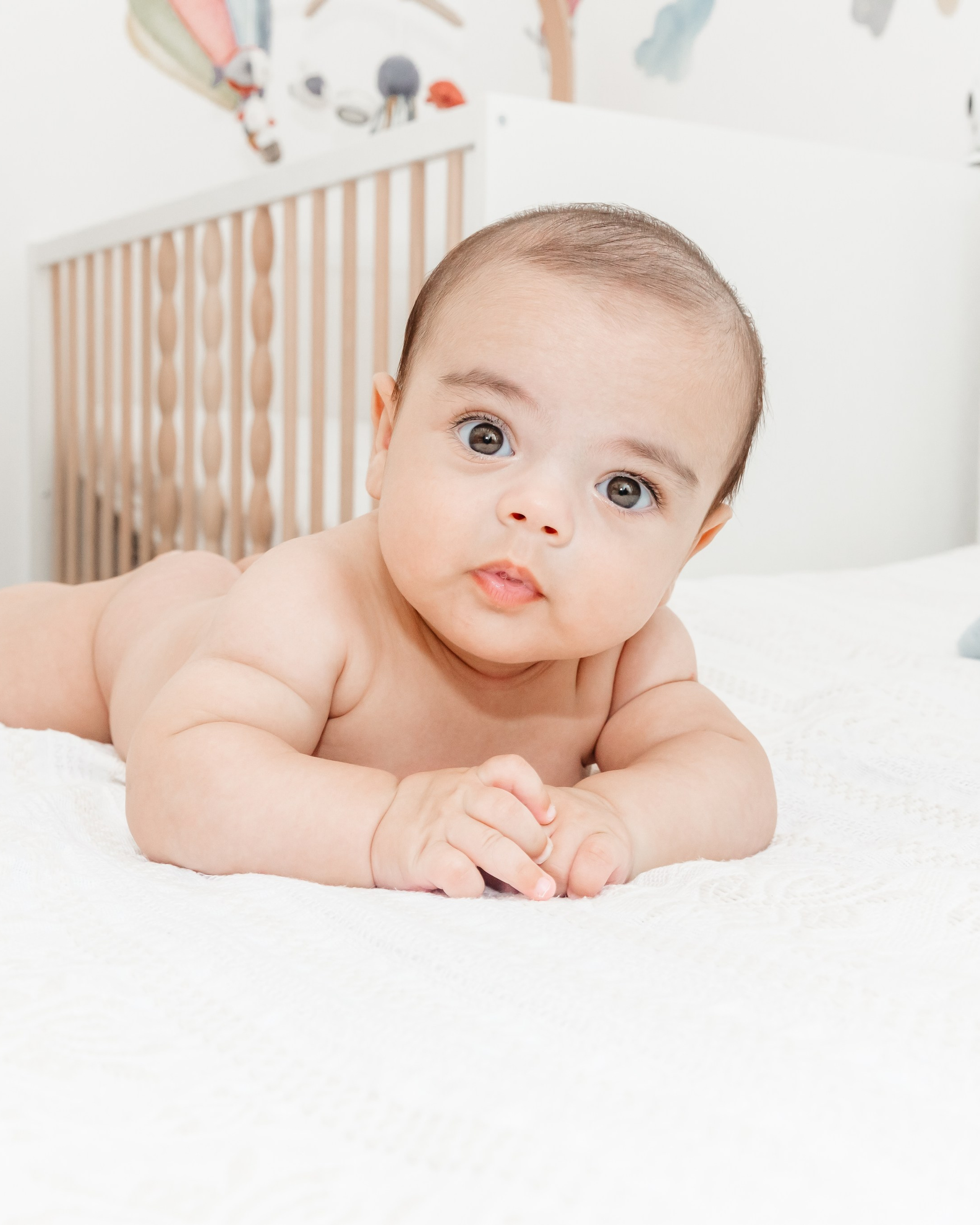 Alexandru Daniel - Botez București