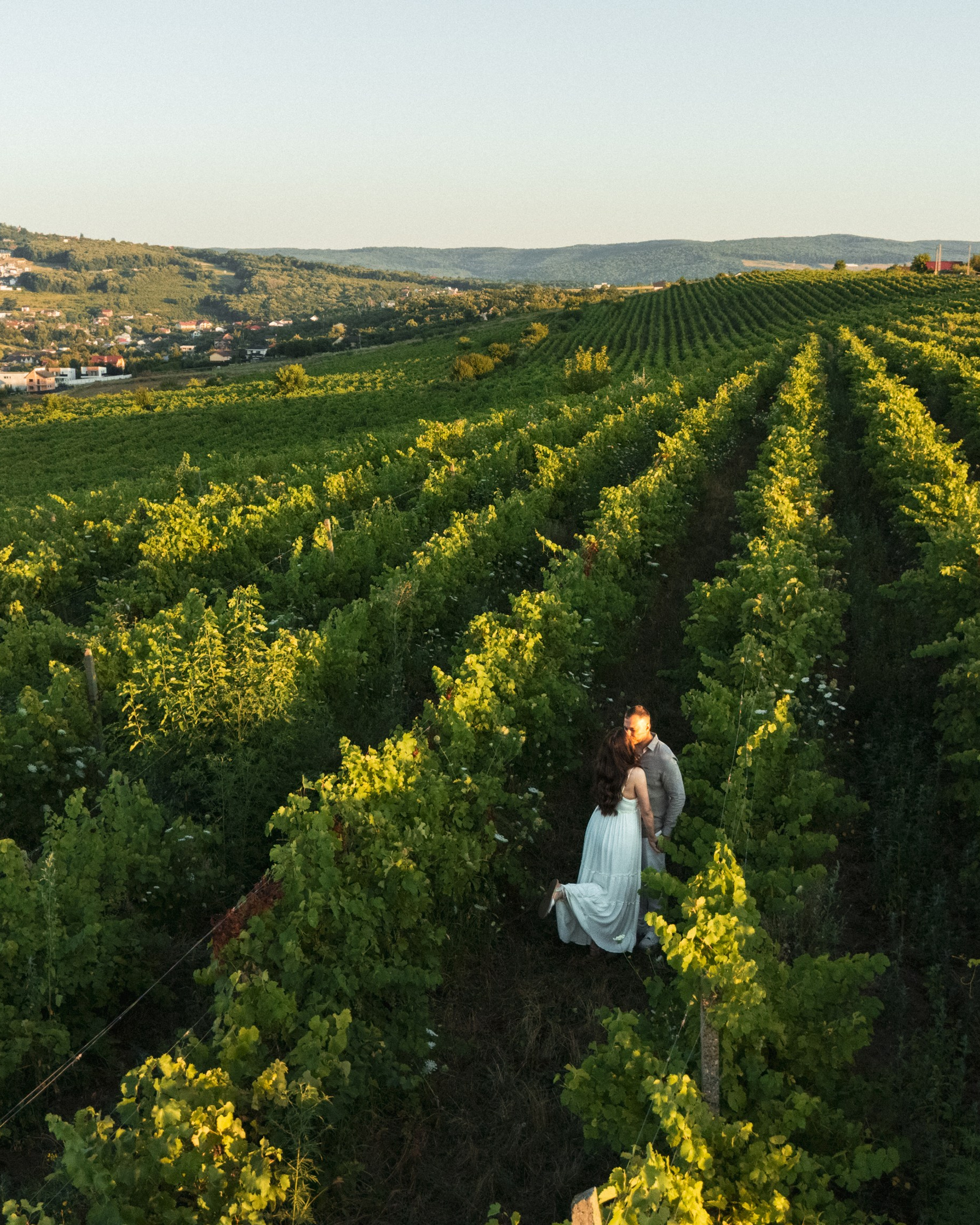 Couple Session — A Vineyard Love Story