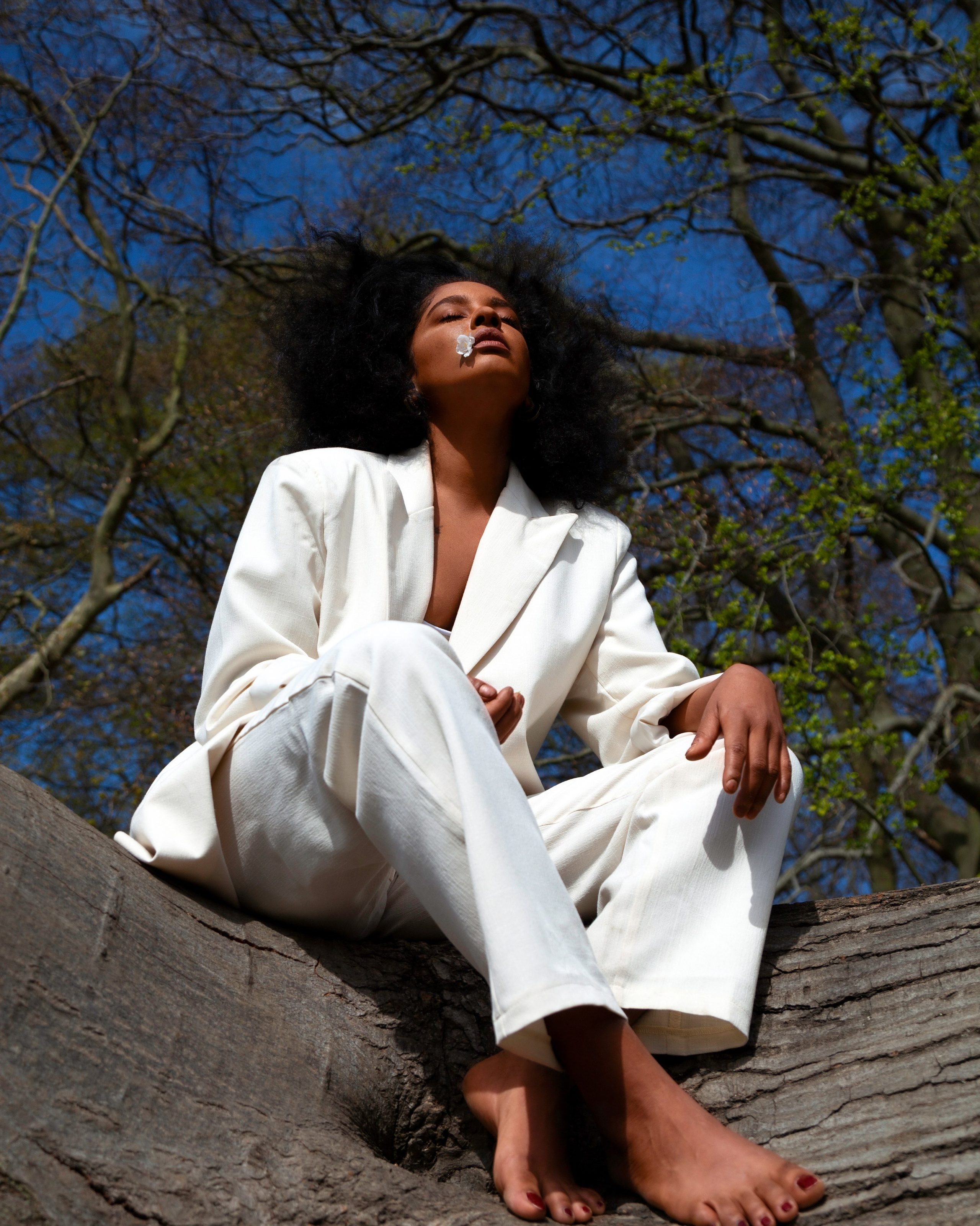 Rebeca — Hampstead trees