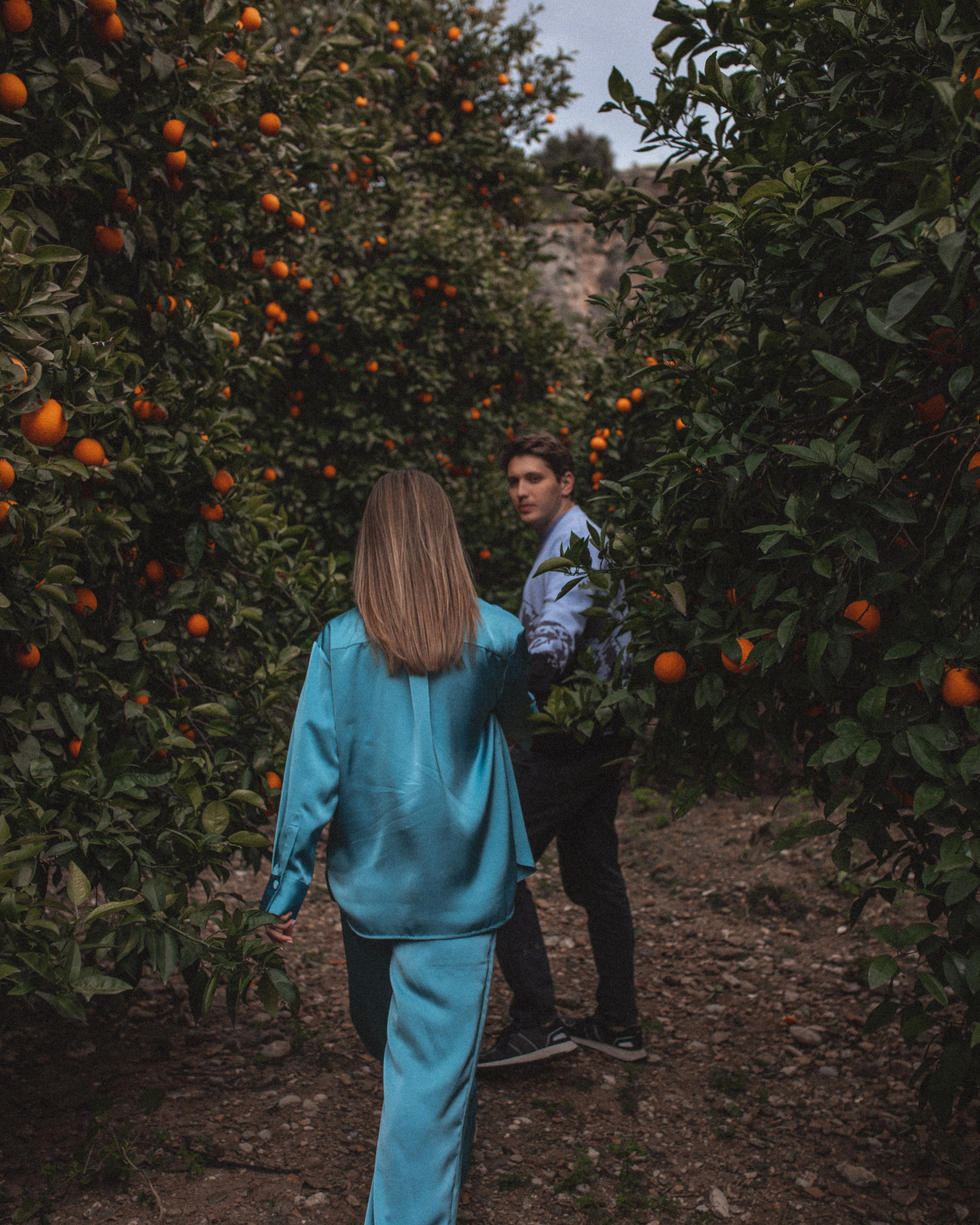 Фотосессия в апельсиновом саду в Белеке