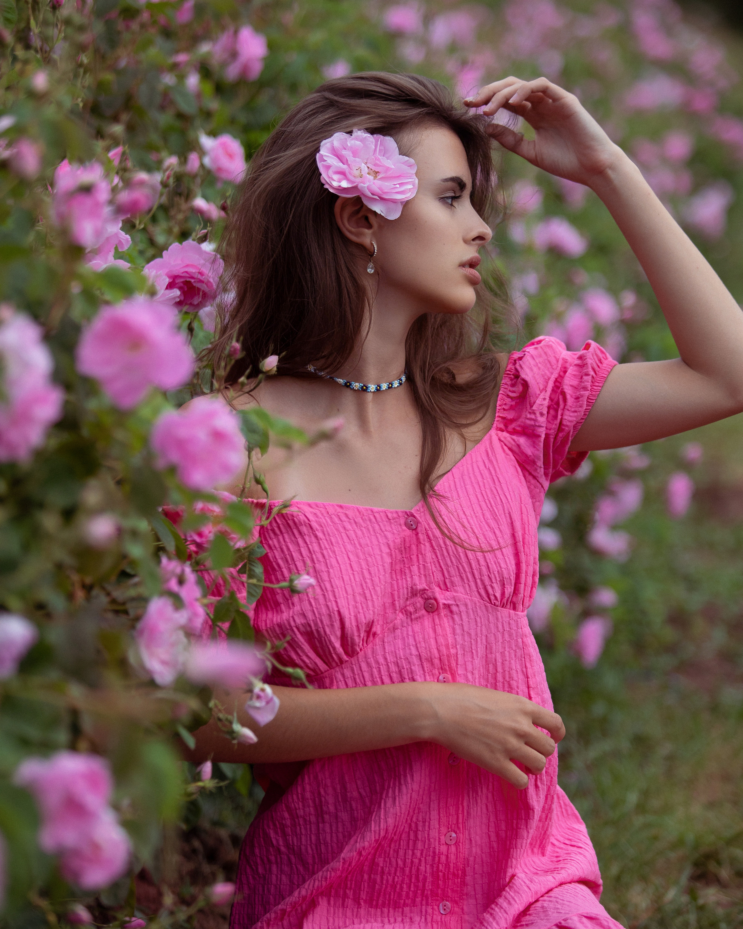 Розовые поля в Турции из Анталии.