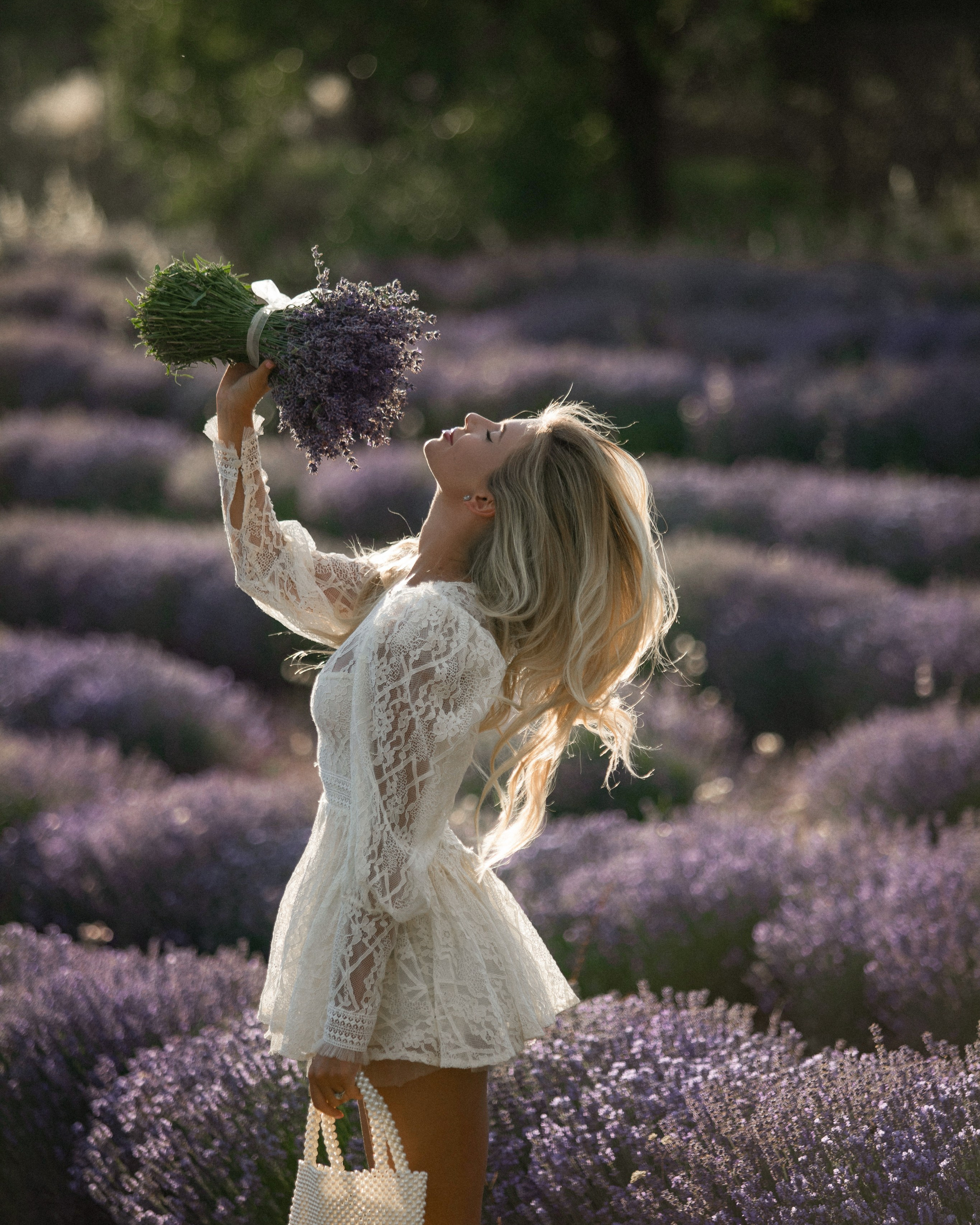 Лаванда в Анталии