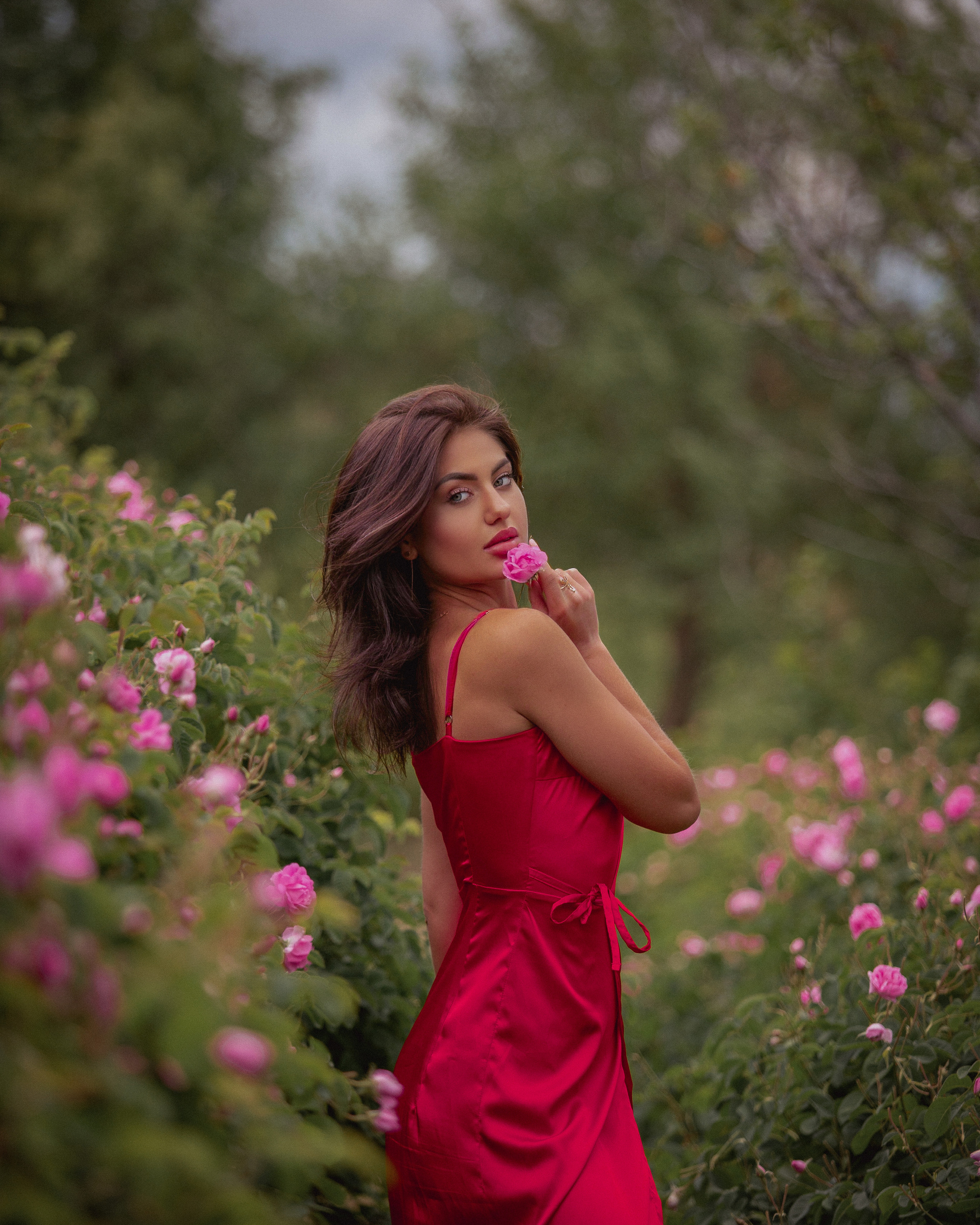 Розовые поля в Турции