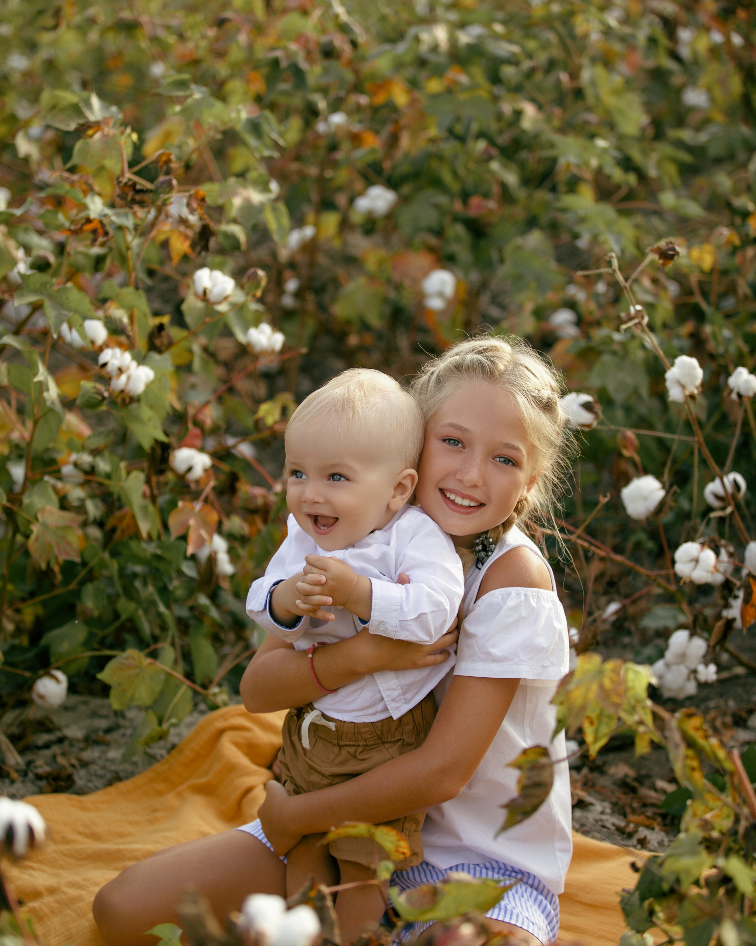 Фотосессия на хлопковом поле (сентябрь–октябрь)