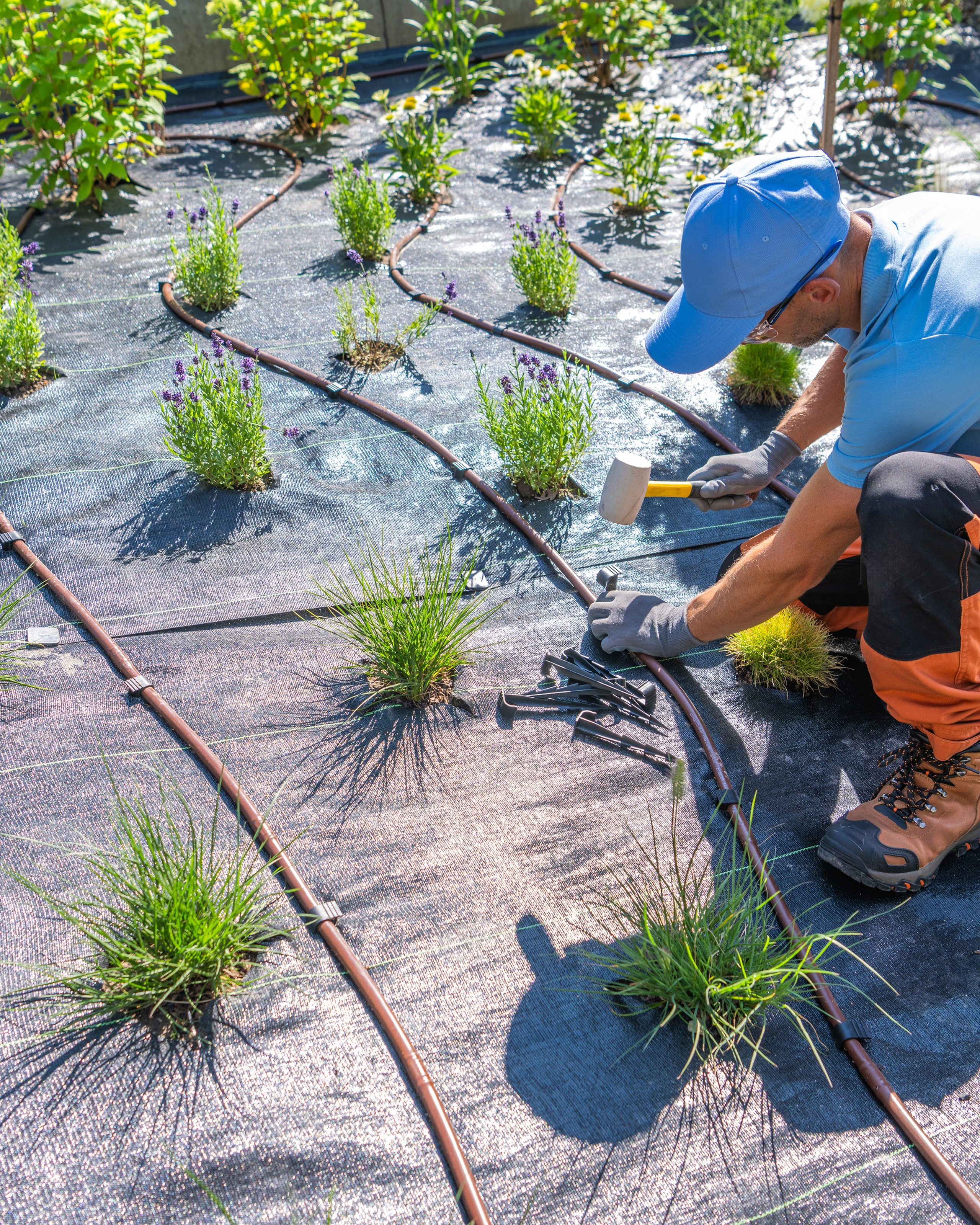 Αυτόματο Πότισμα