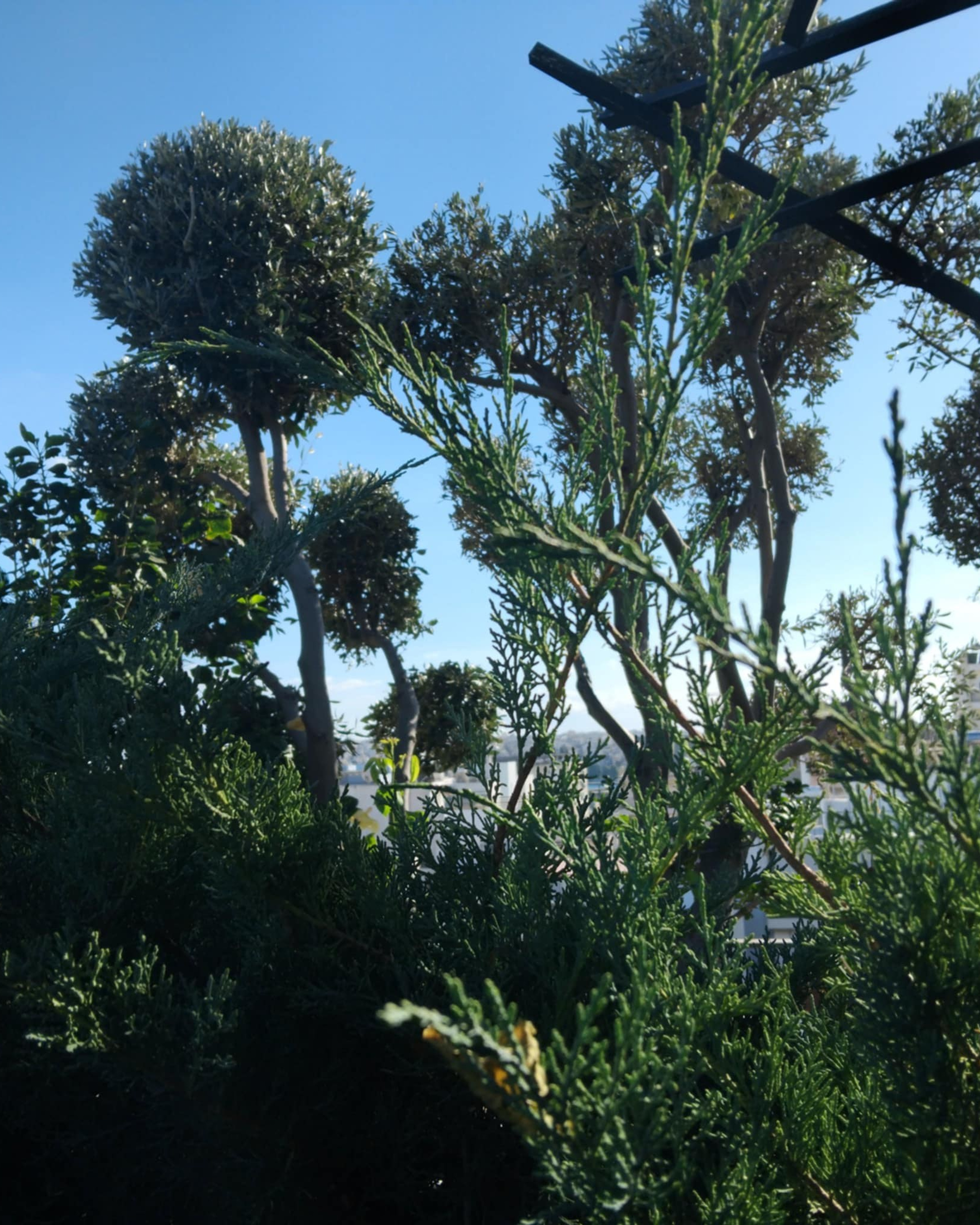 Κήπος Πειραιά