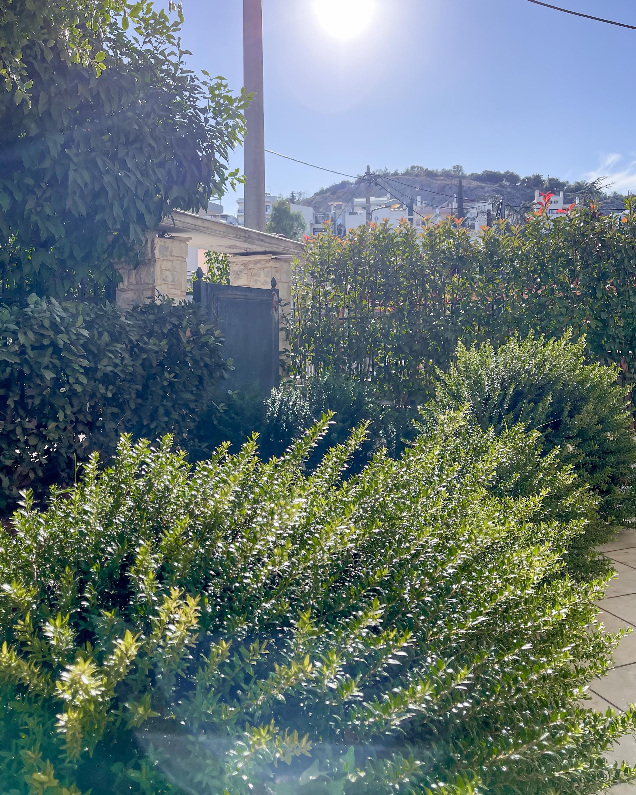 Κήπος Ψυχικό