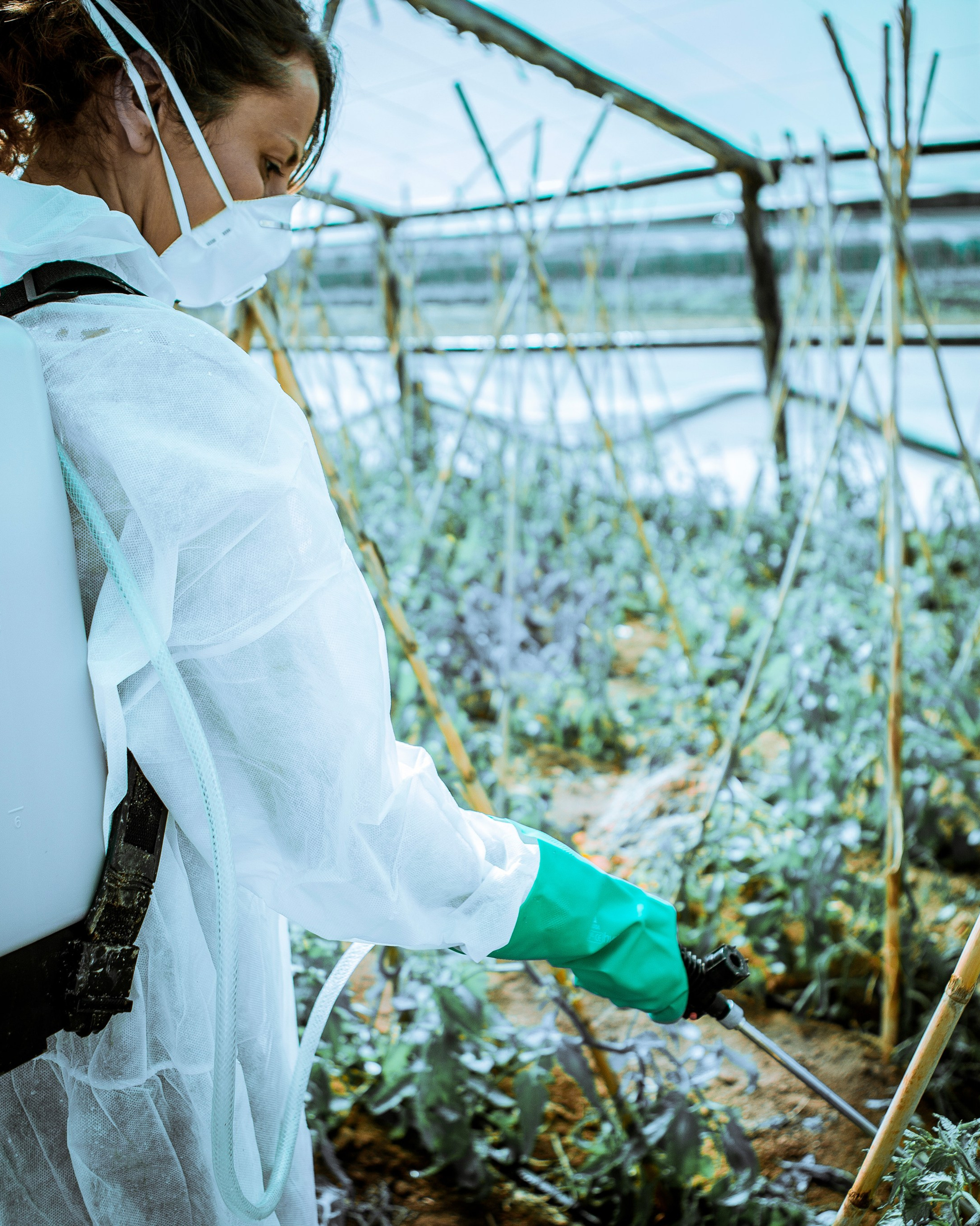 Λίπανση-Φυτοπροστασία