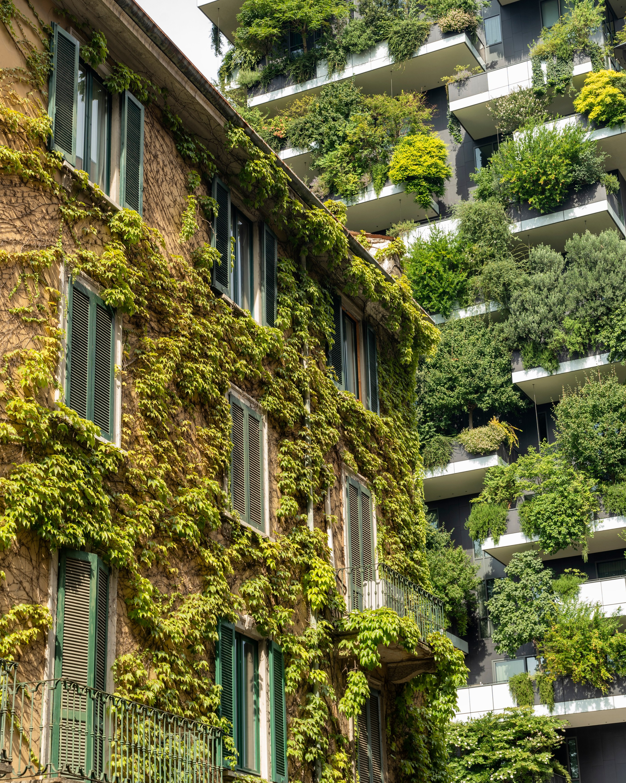 Kάθετη Φύτευση