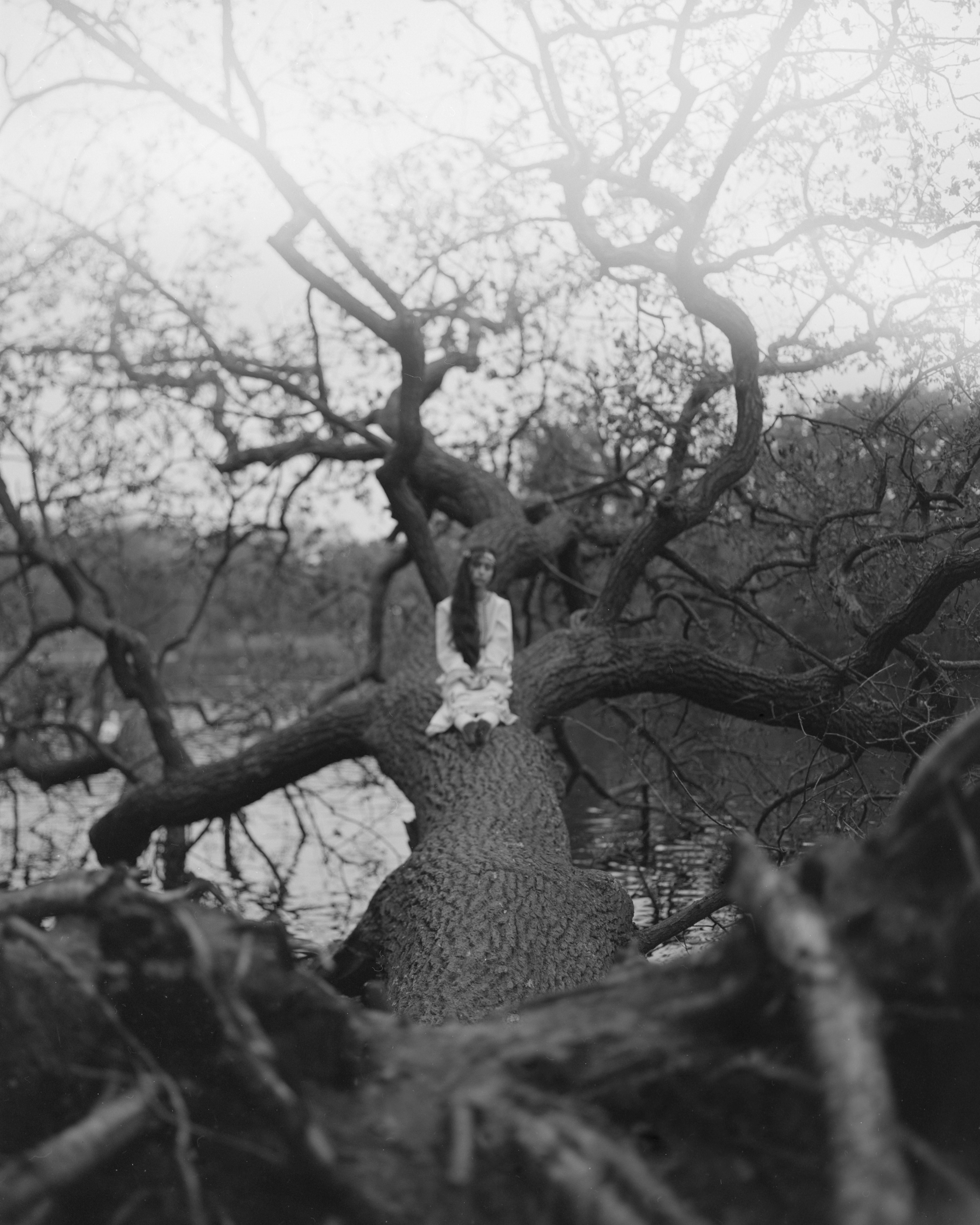 Forest Exposure