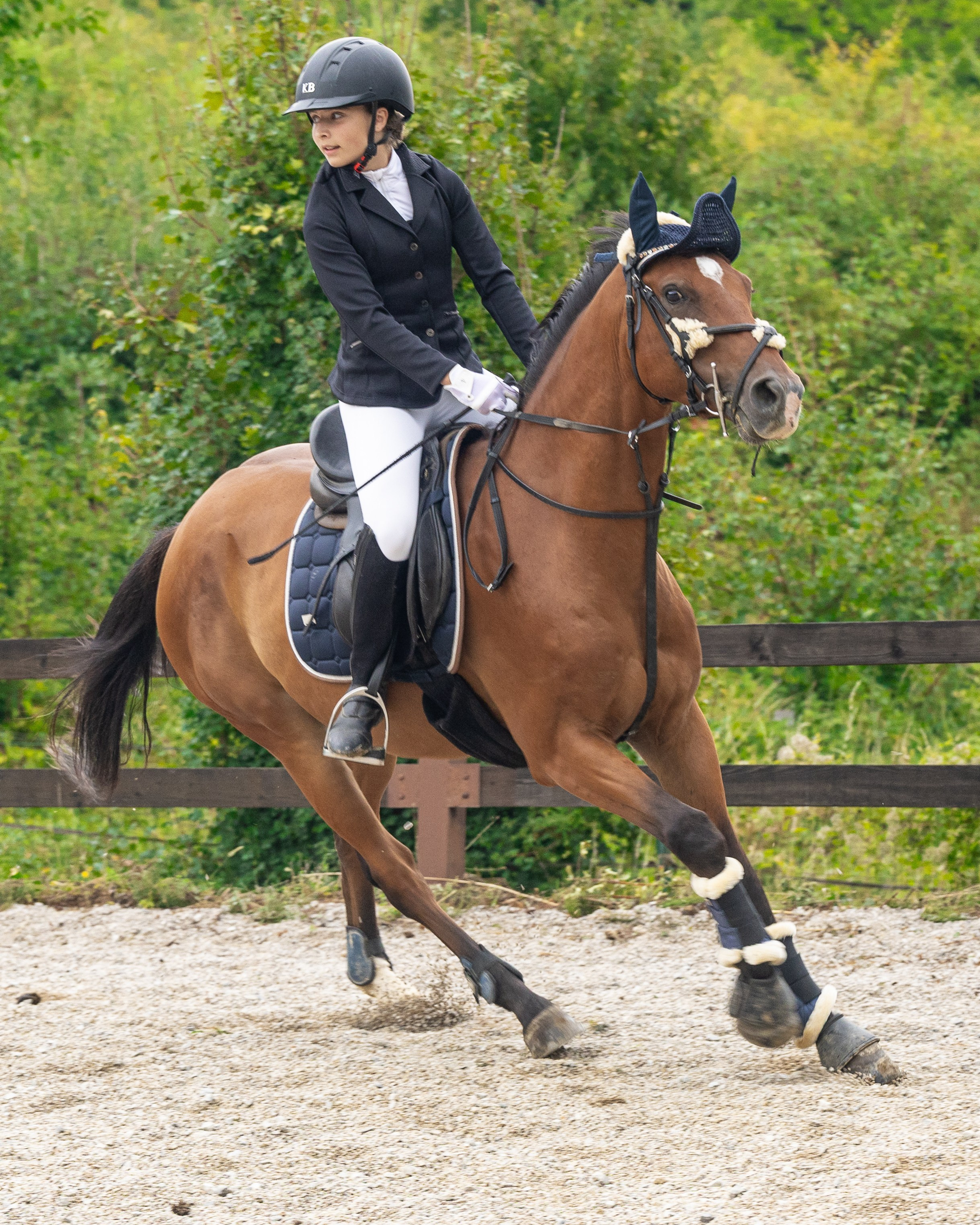 Preponsko takmičenje / Show Jumping Competition — Sarajevo