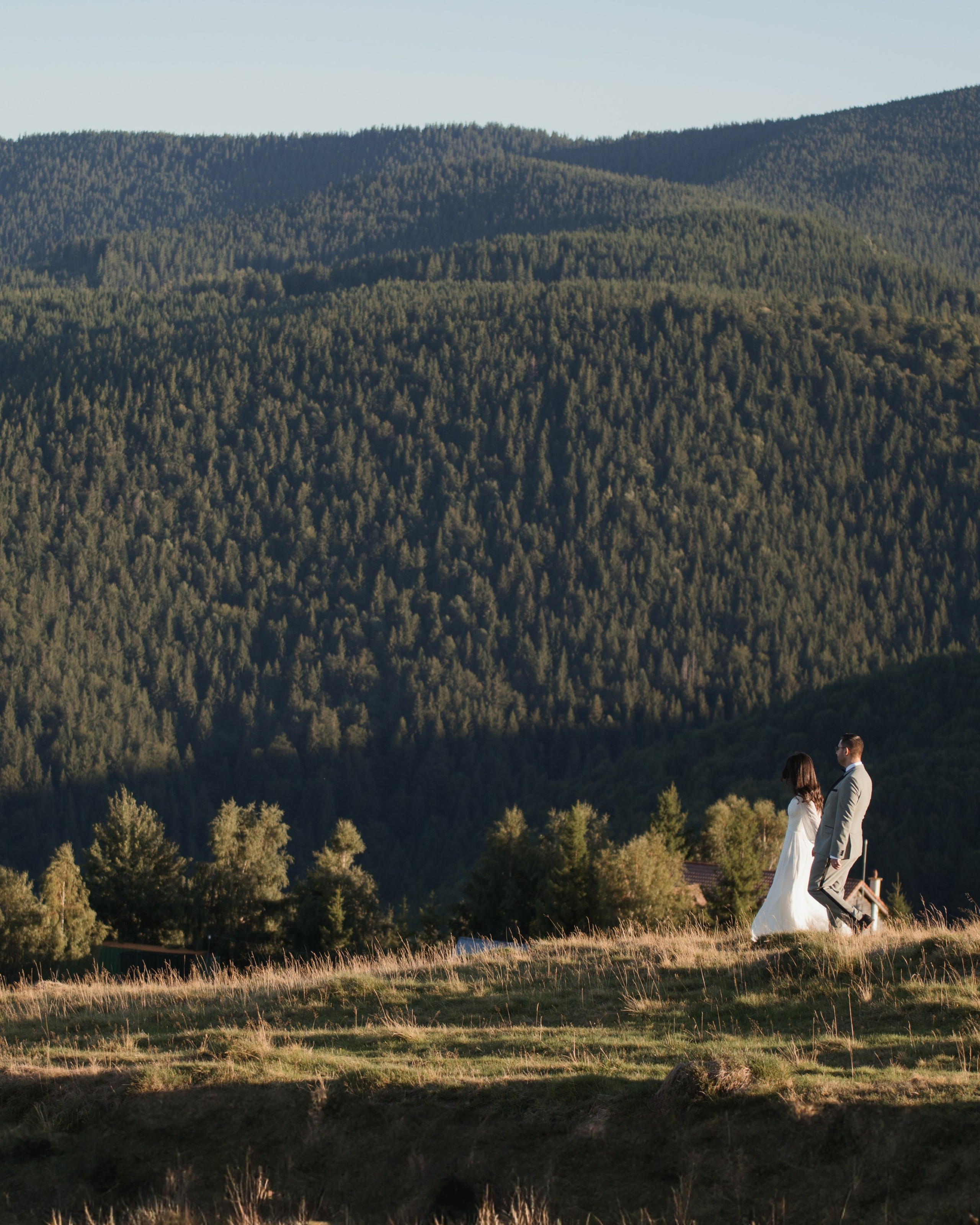 Trash the Dress A&M