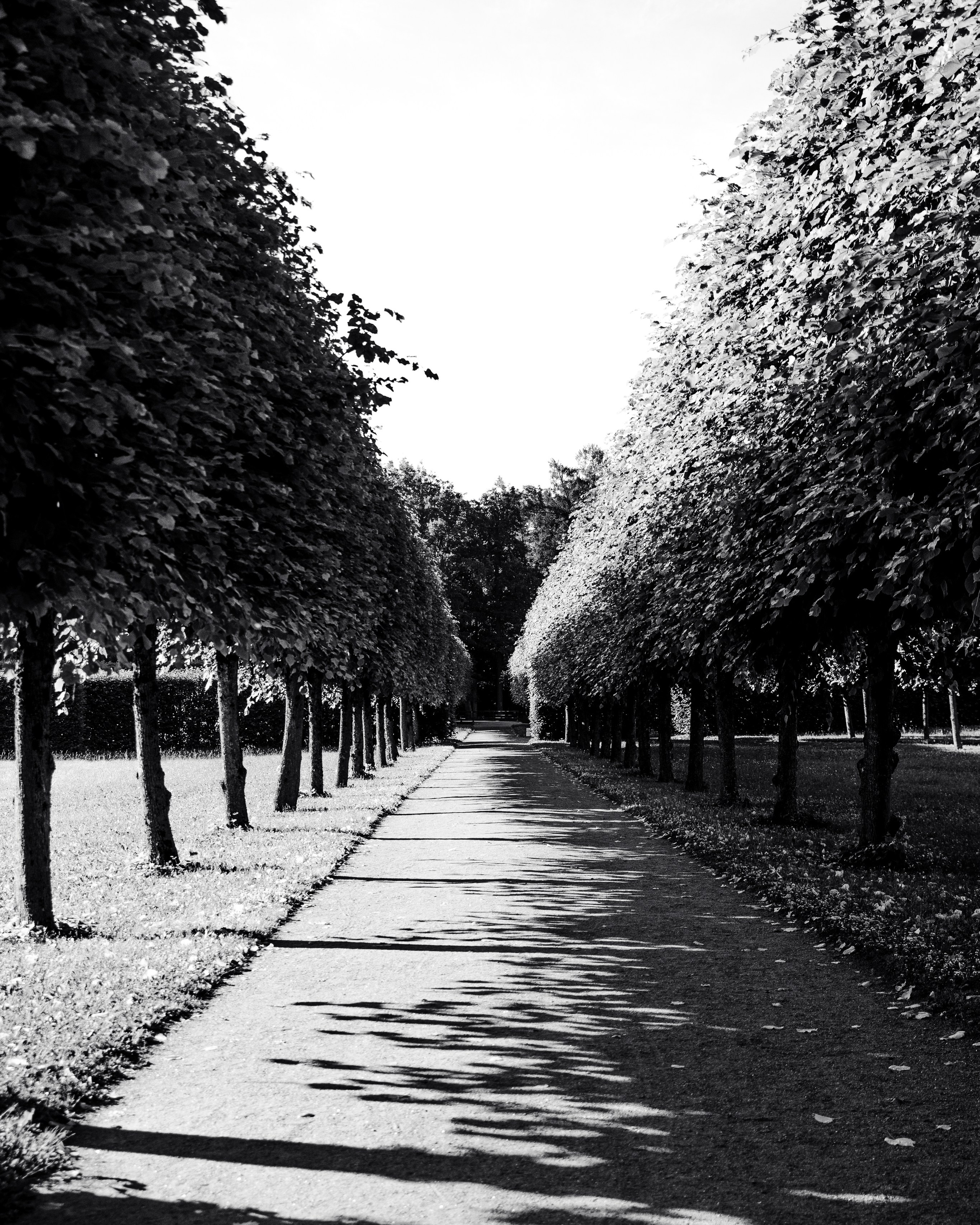St Petersburg