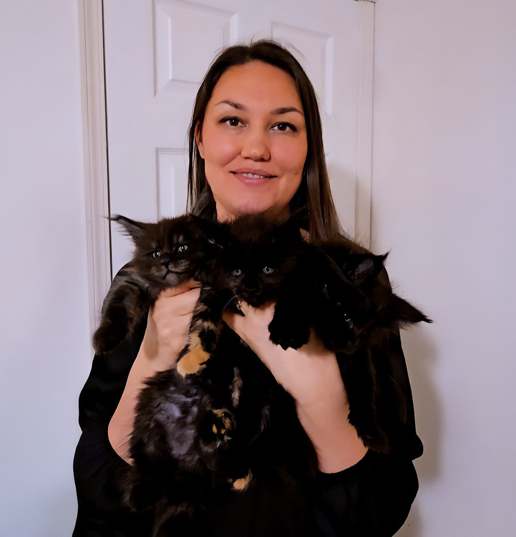 Senator Yasmin. Senator Cat — Maine Coon cattery