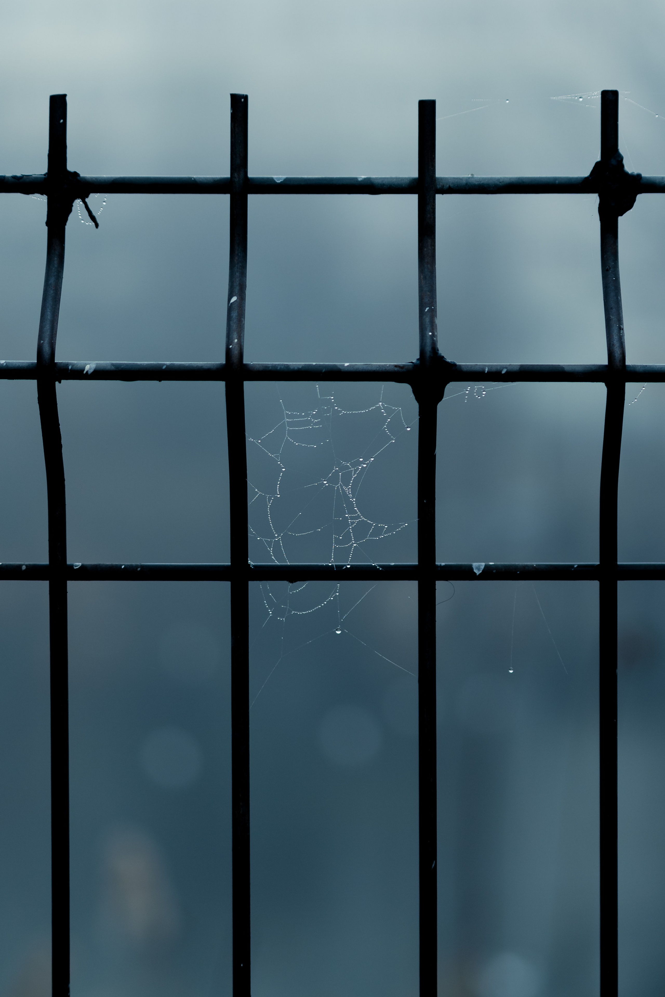 Blog despre fotografie - O dimineata cetoasa