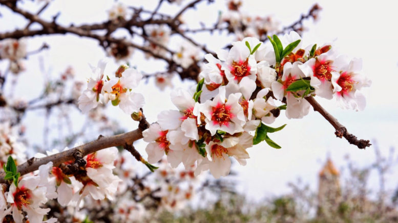 Погода в Кемере в марте. Photographer in Antalya, Kemer, Turkey