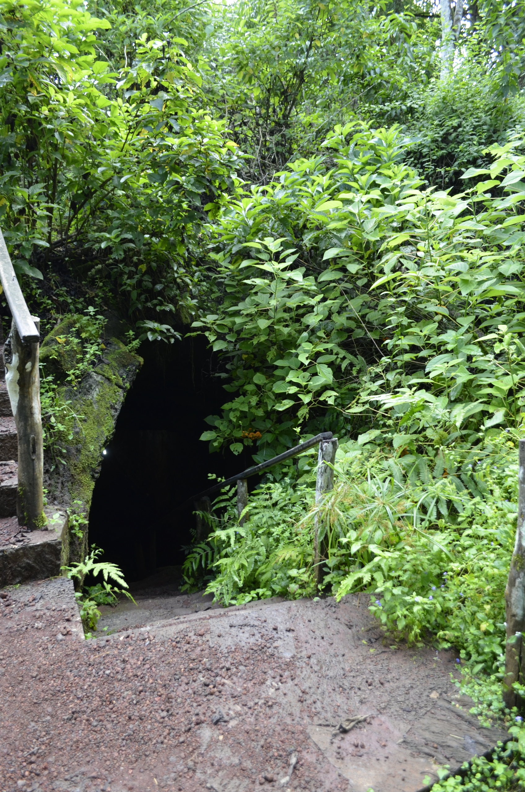 Galapagos. Milok et Kirok sont des gens positifs et réels. Nous serons ravis de v