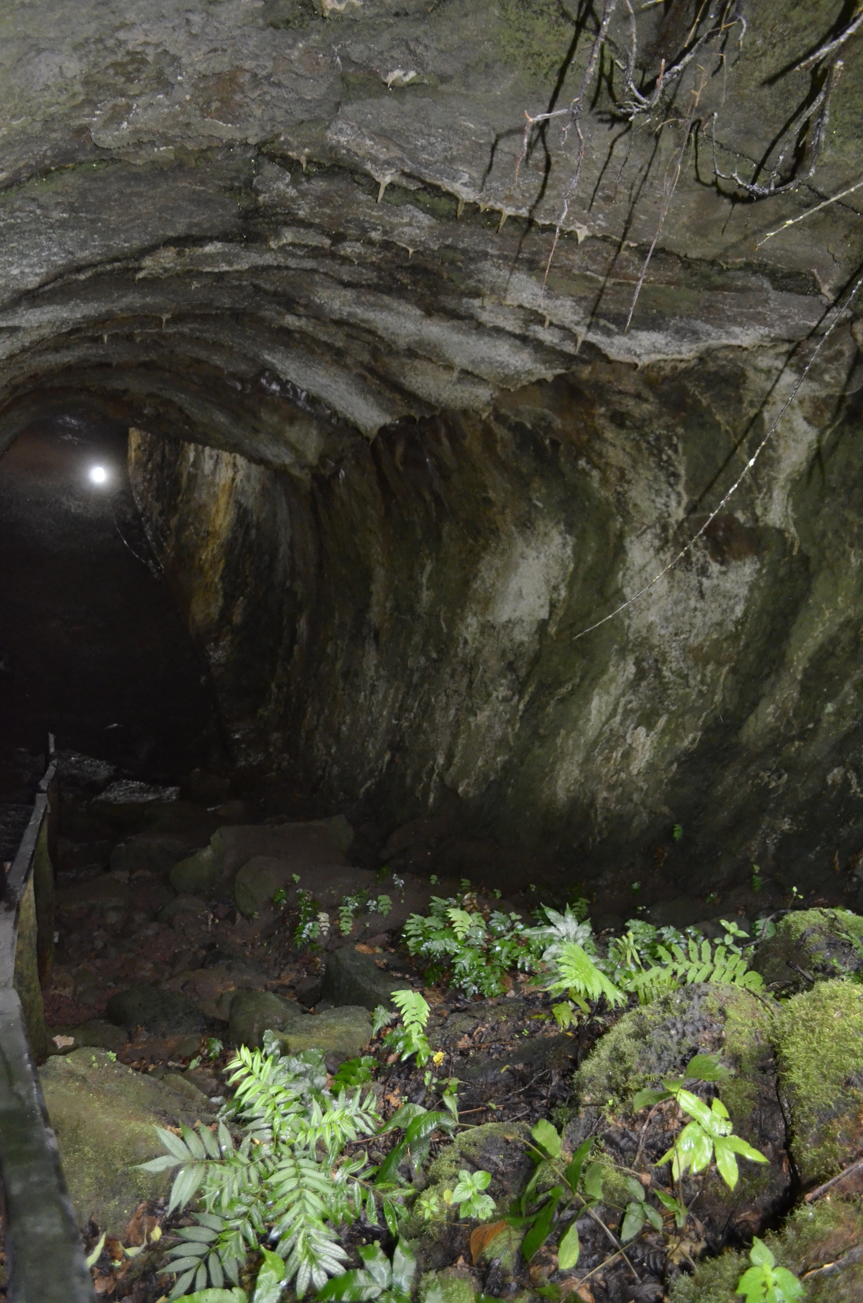 Galapagos. Milok et Kirok sont des gens positifs et réels. Nous serons ravis de v