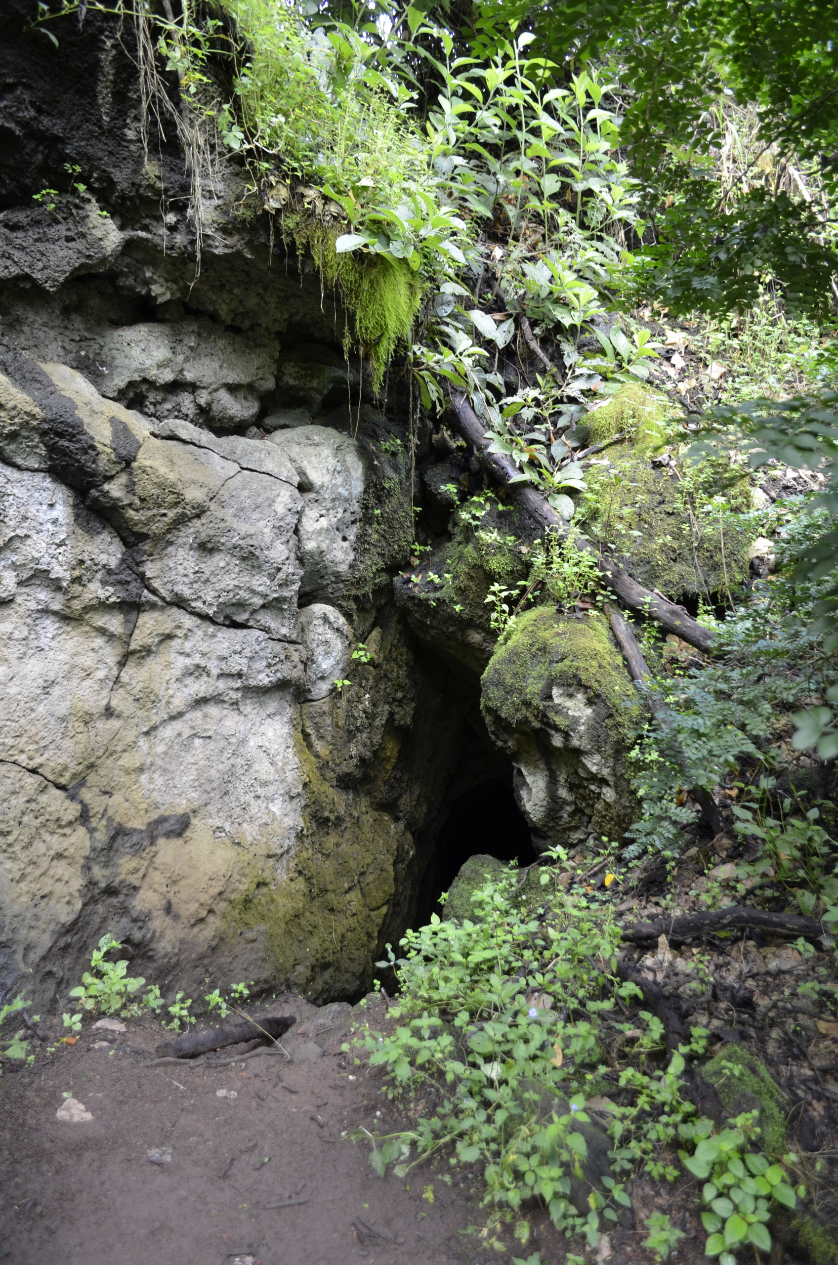 Galapagos. Milok et Kirok sont des gens positifs et réels. Nous serons ravis de v