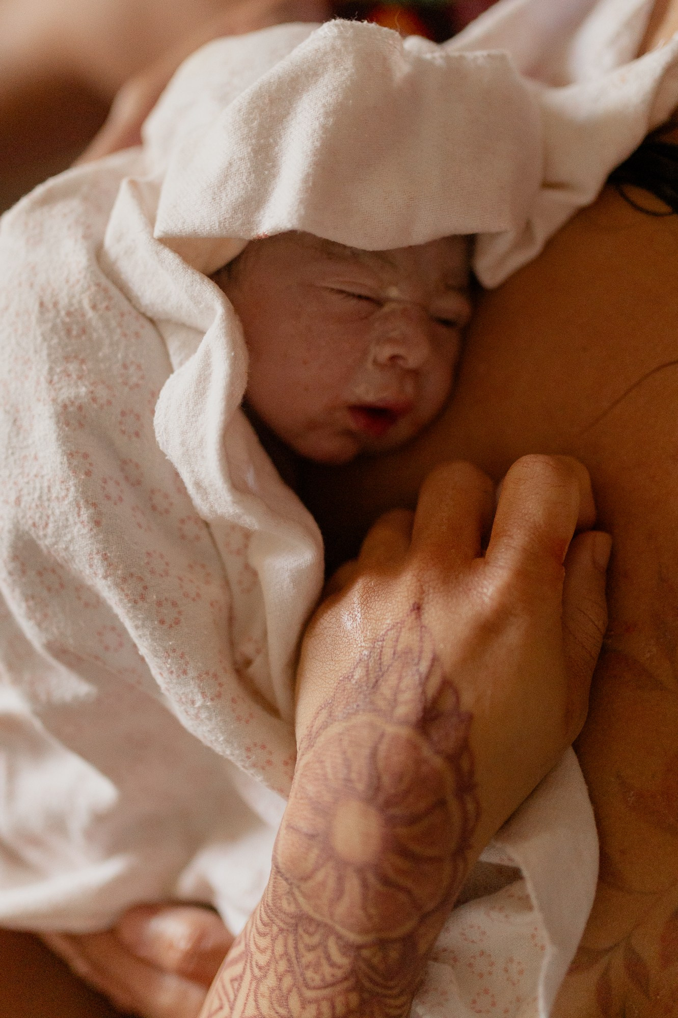 Água Carmim Fotografia