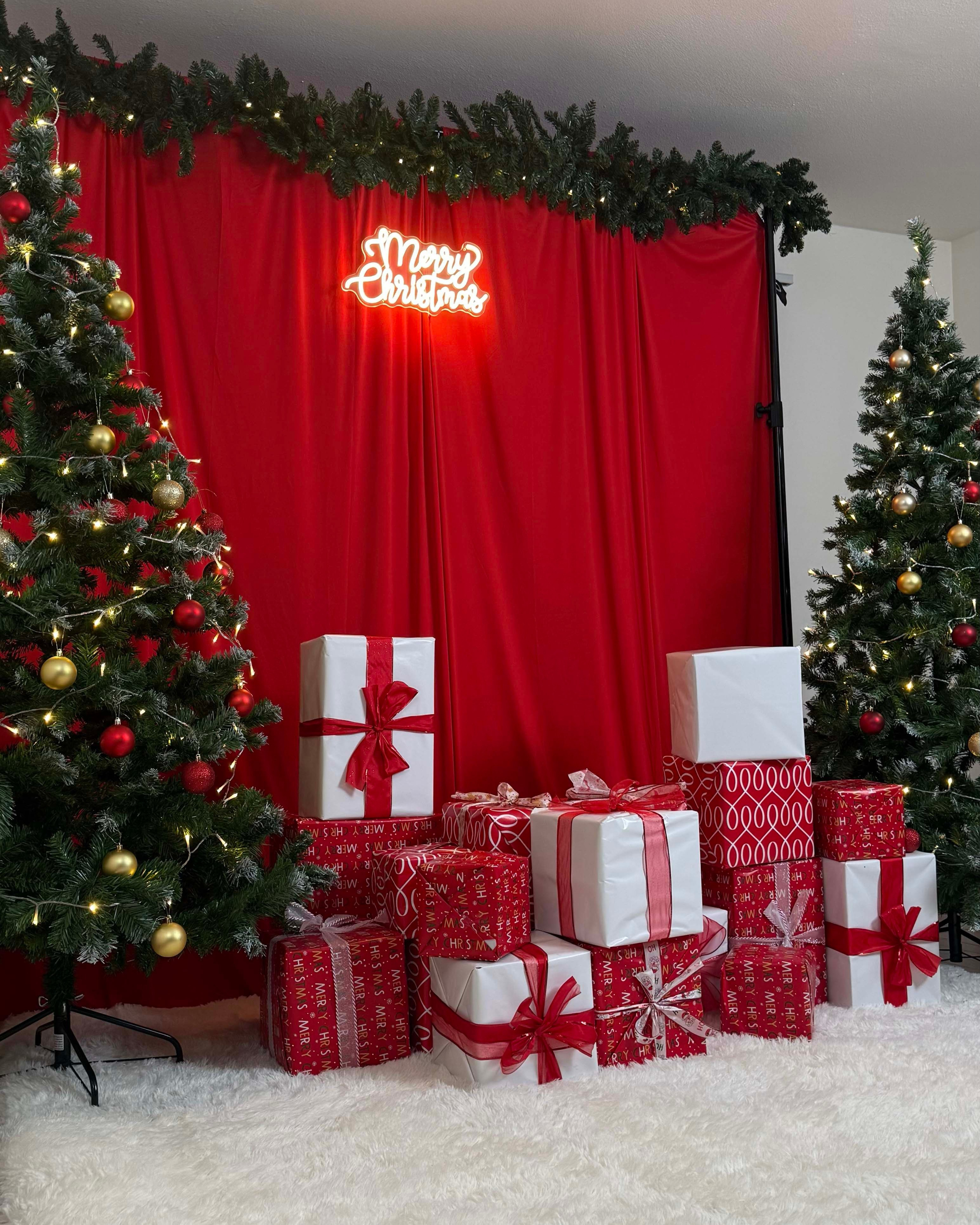 Sesiones Navideñas. Wilker Mata | Fotógrafo Profesional en Chicago