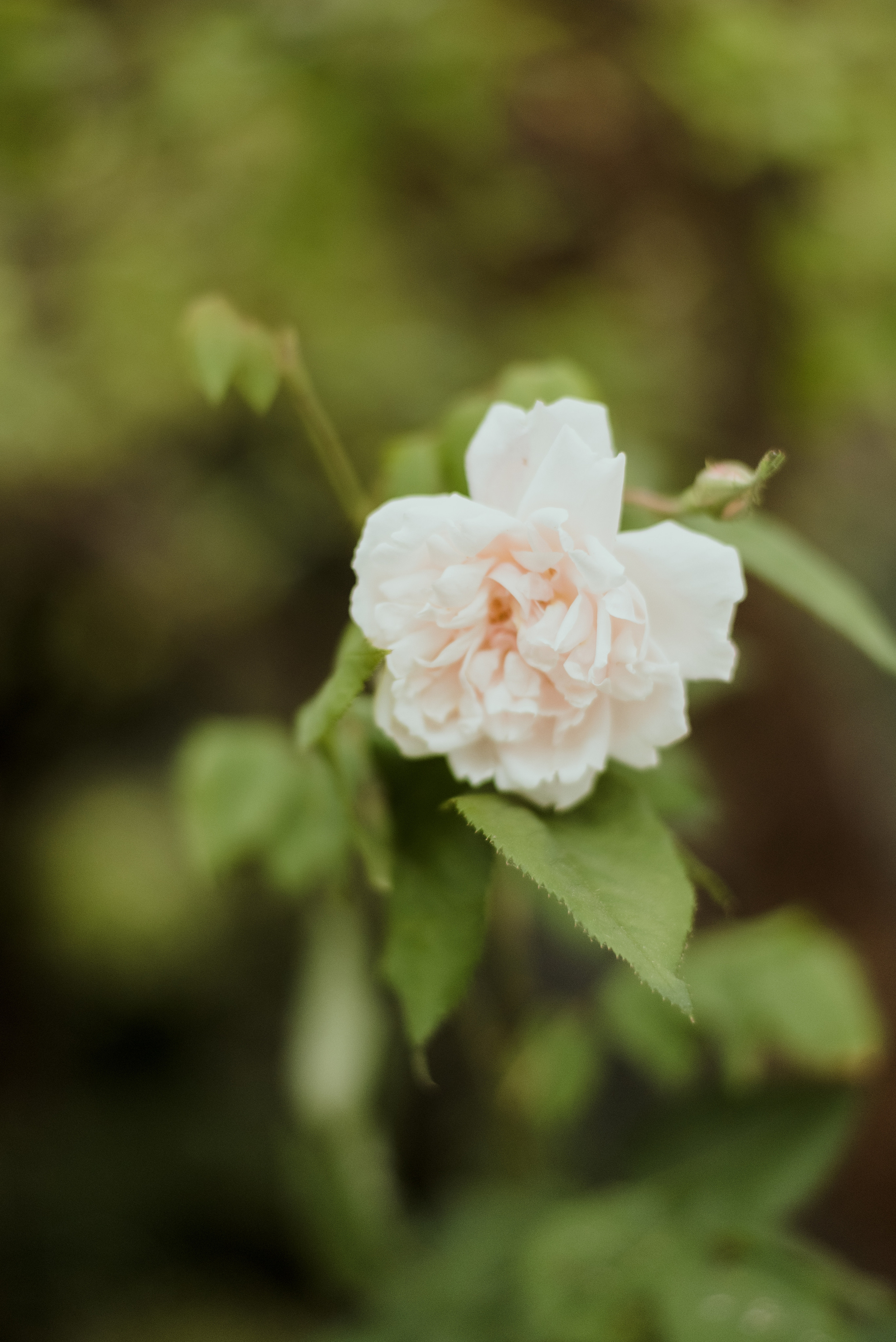 Garret + Filipe. Lifestyle, wedding and family photographer