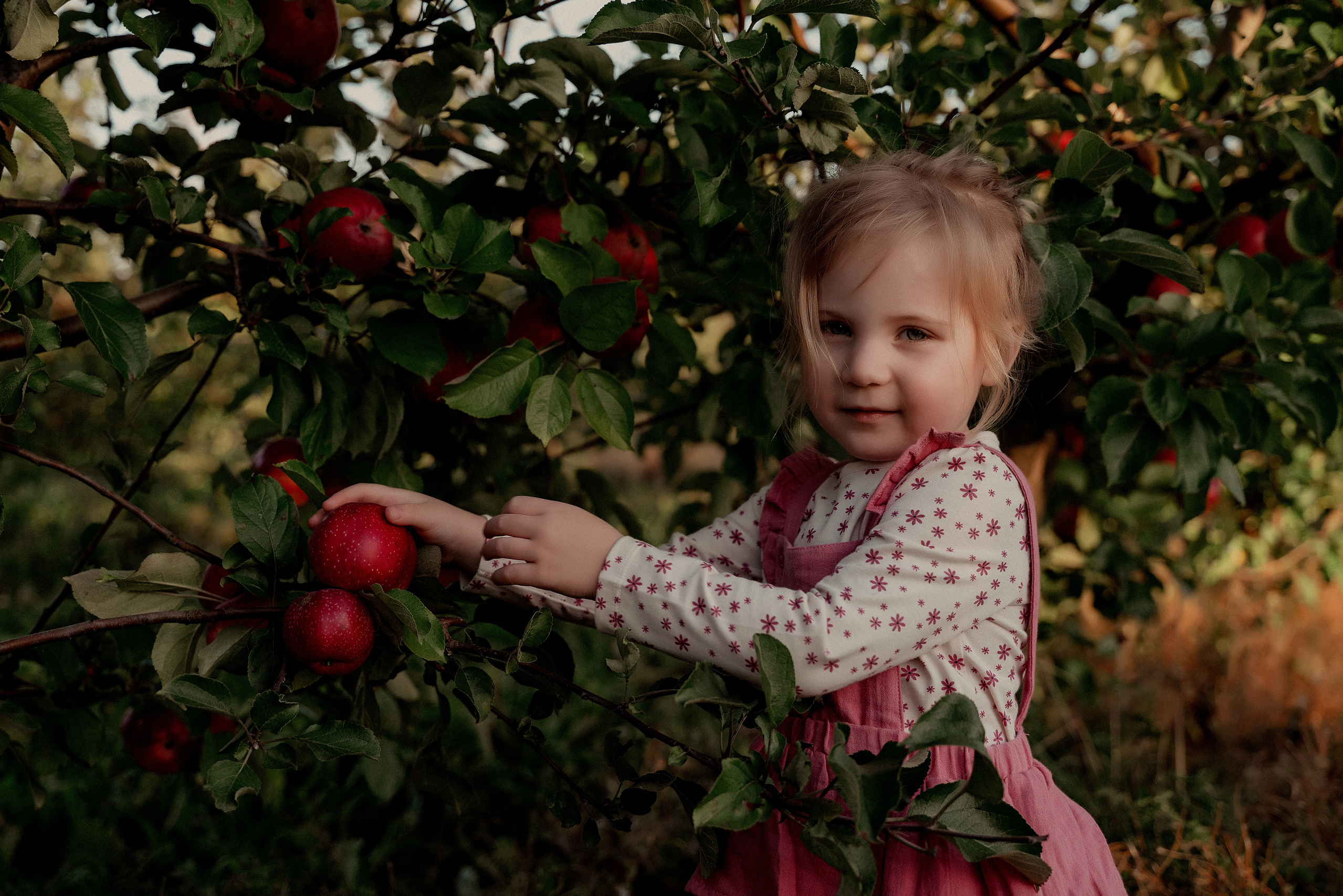 фотограф латгалия, дети, детская фотосессия, фотограф даугавпилс, фотограф резекне, фотограф краслава, детский фотограф, александра юхневича