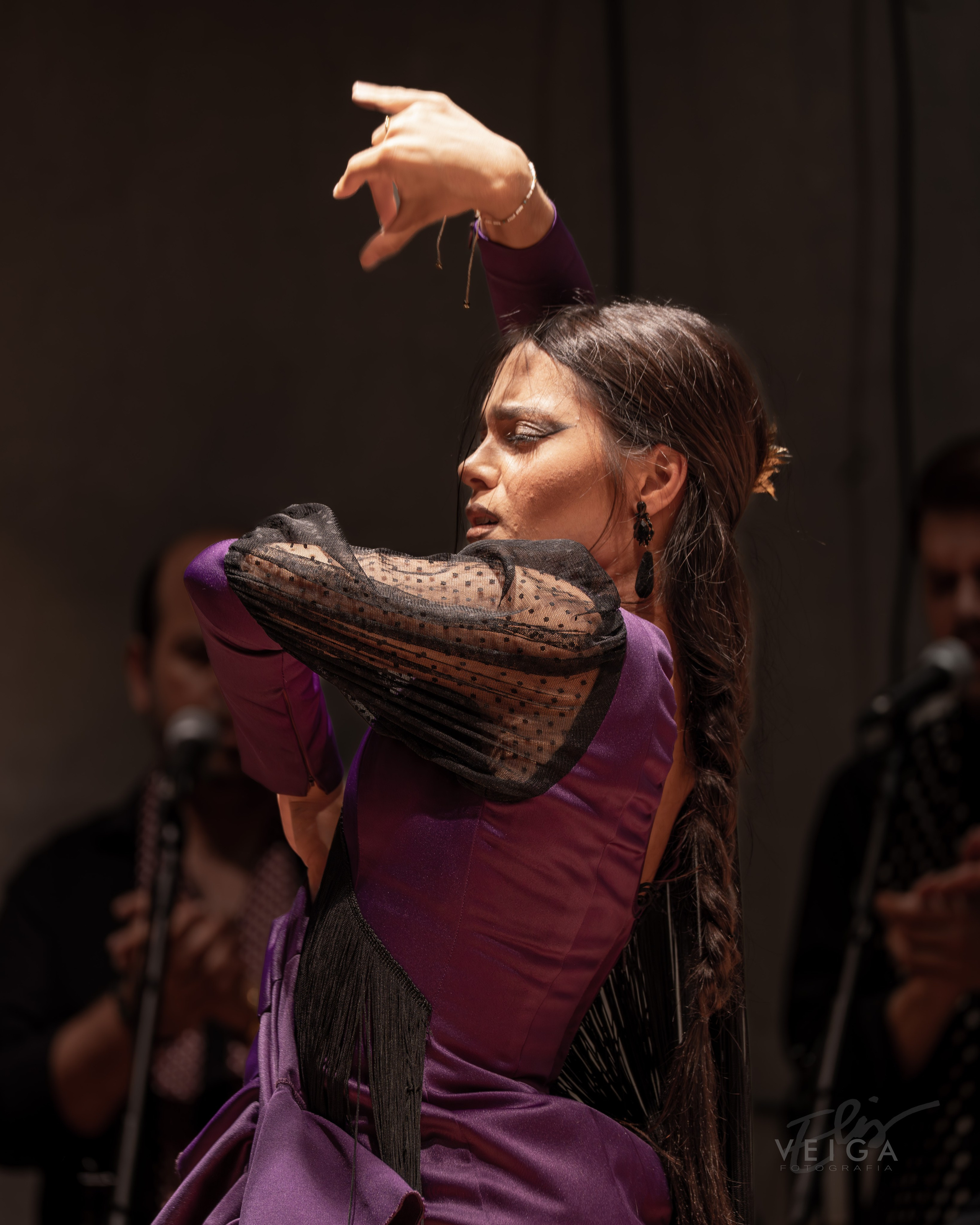 Flamenco. Elisveiga