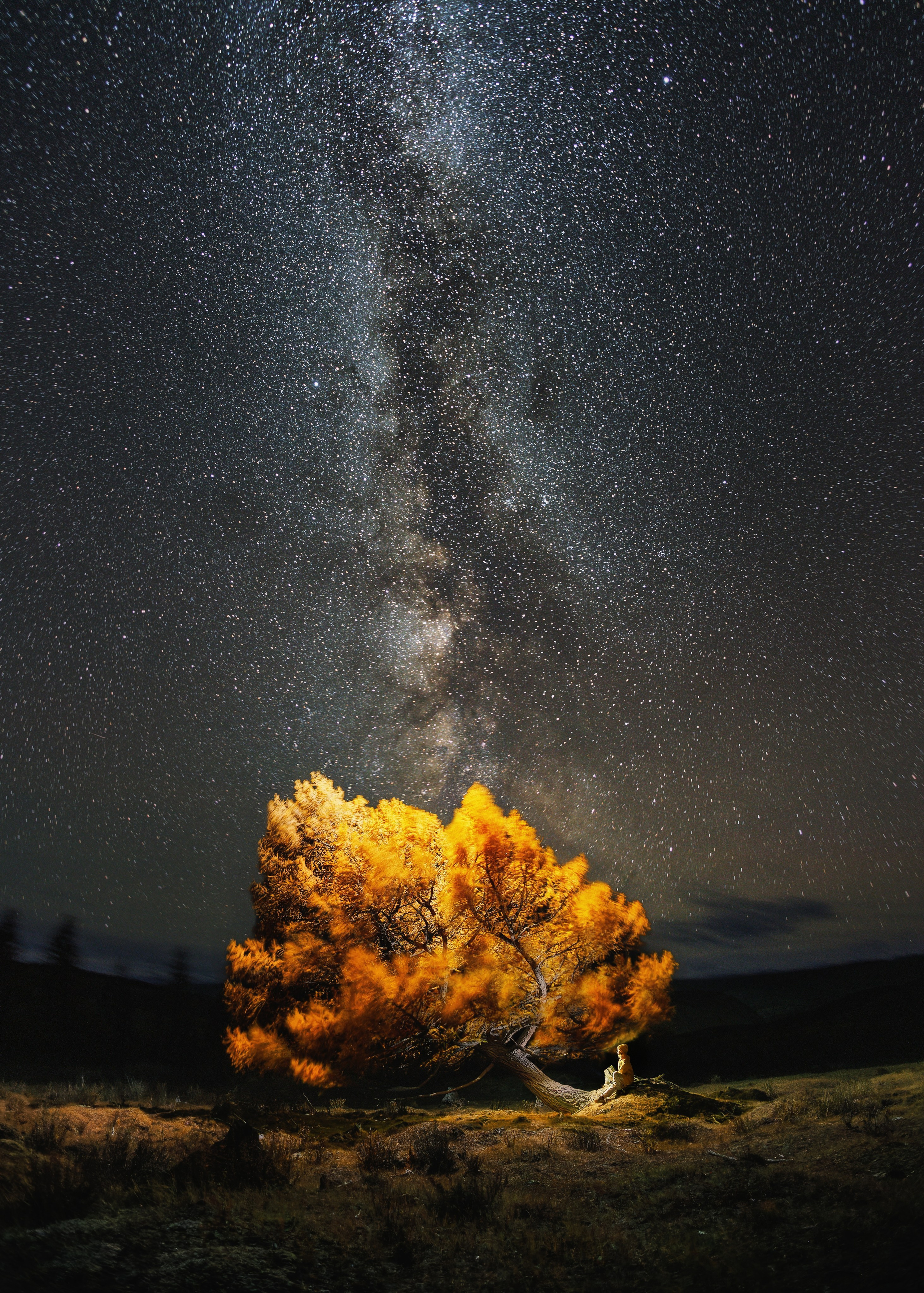 Portfolio Award 2025