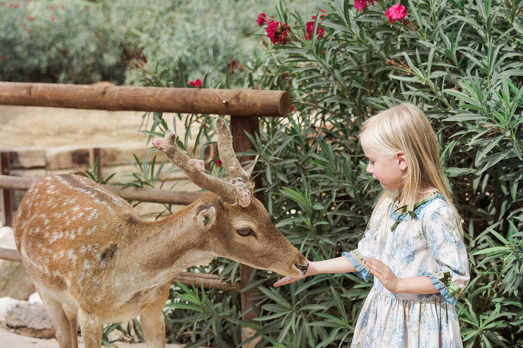 Photographer in Spain, photographer in Fuengirola, photographer in Mal