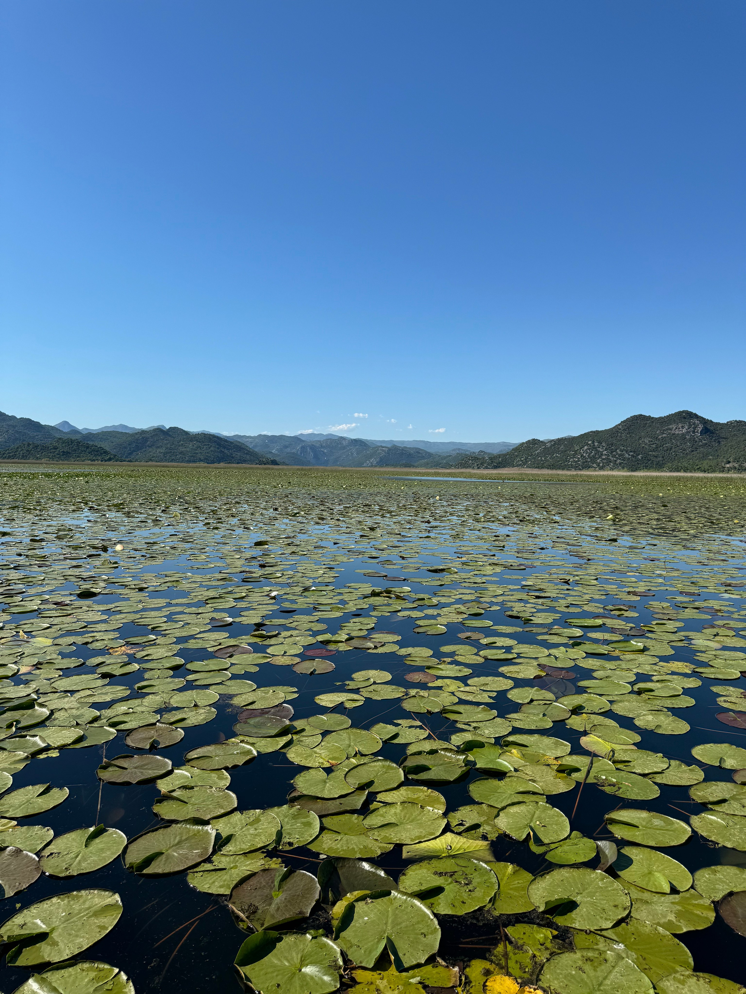 Nationale Parken van Montenegro: Verken Natuurlijke Schoonheid