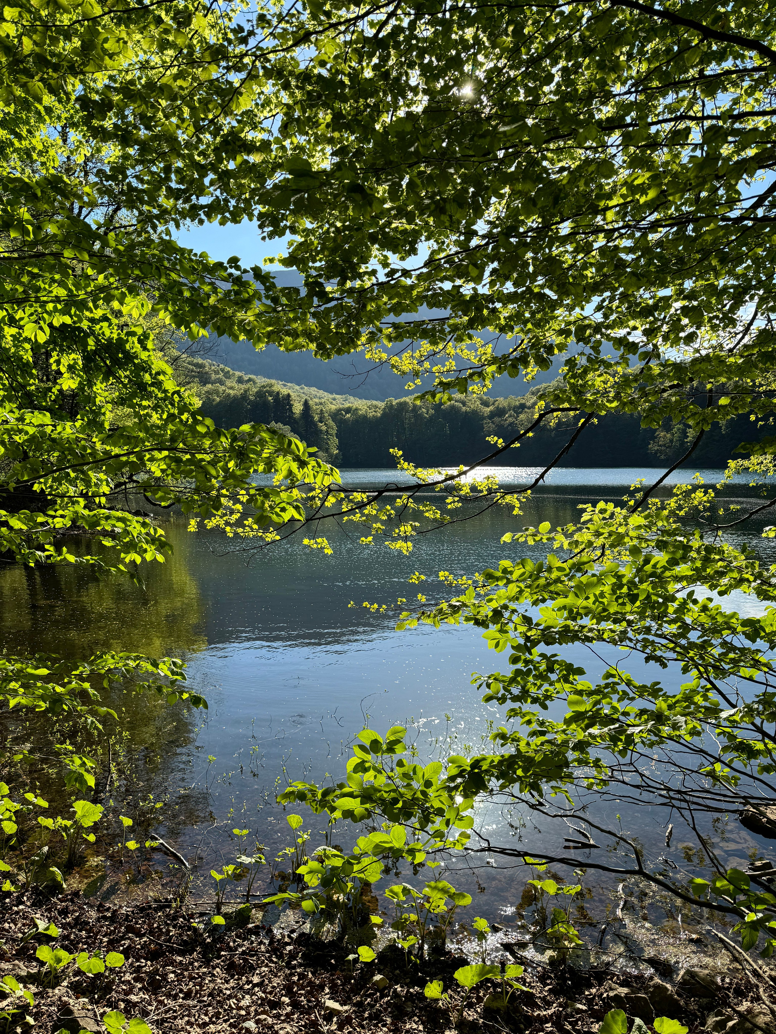Nationale Parken van Montenegro: Verken Natuurlijke Schoonheid