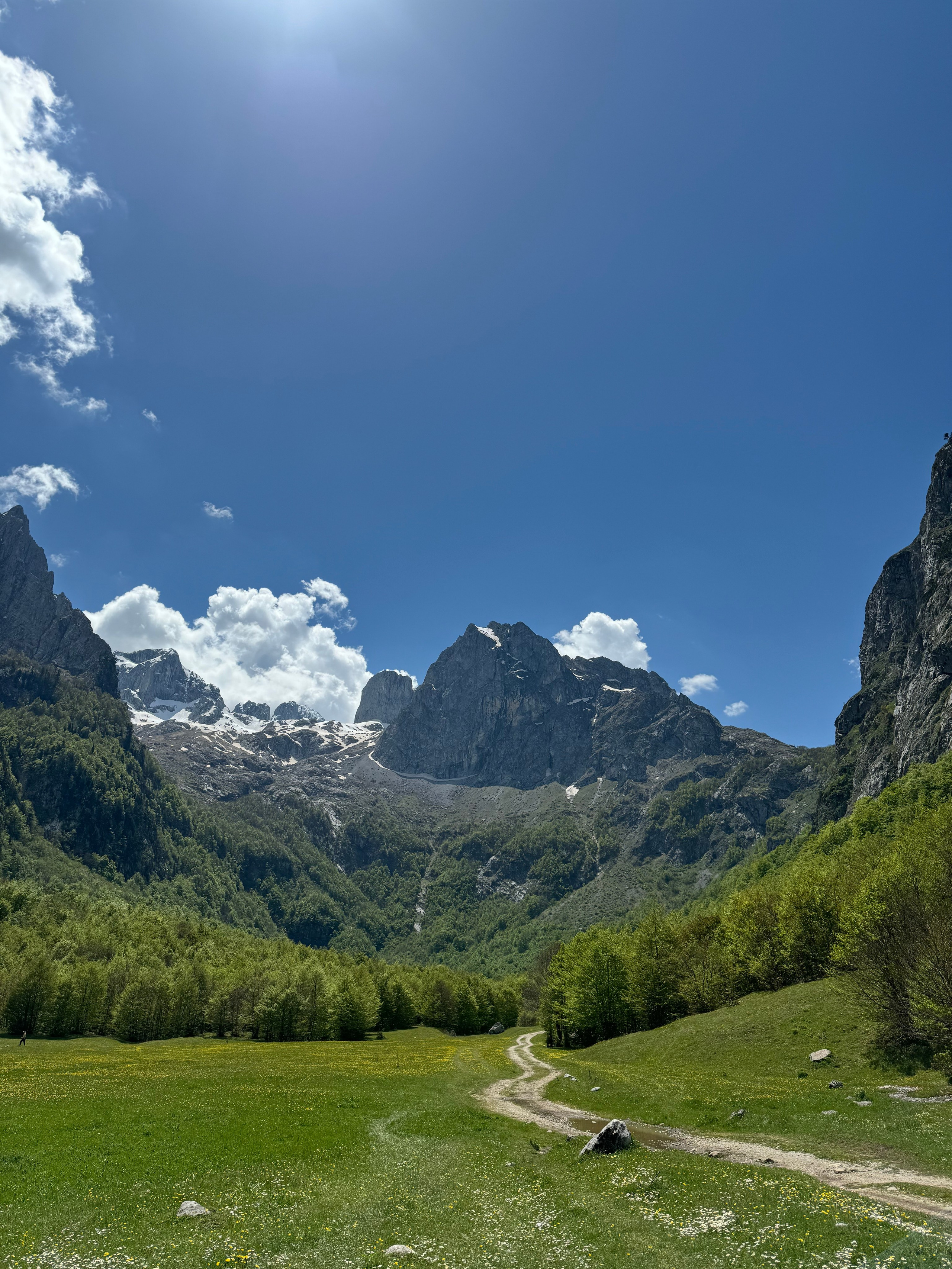 Nationale Parken van Montenegro: Verken Natuurlijke Schoonheid