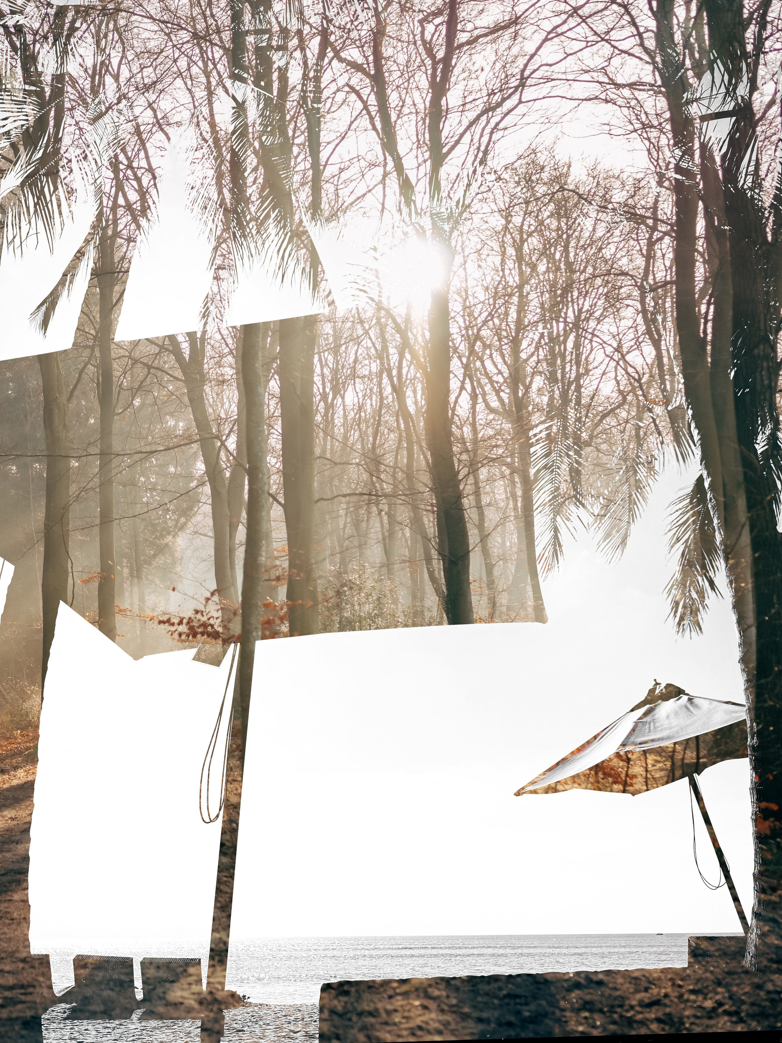 Personal Work. Irina Zoteeva | Artistic Portrait, Family & Brand Photographer in Solihull, Birmingham