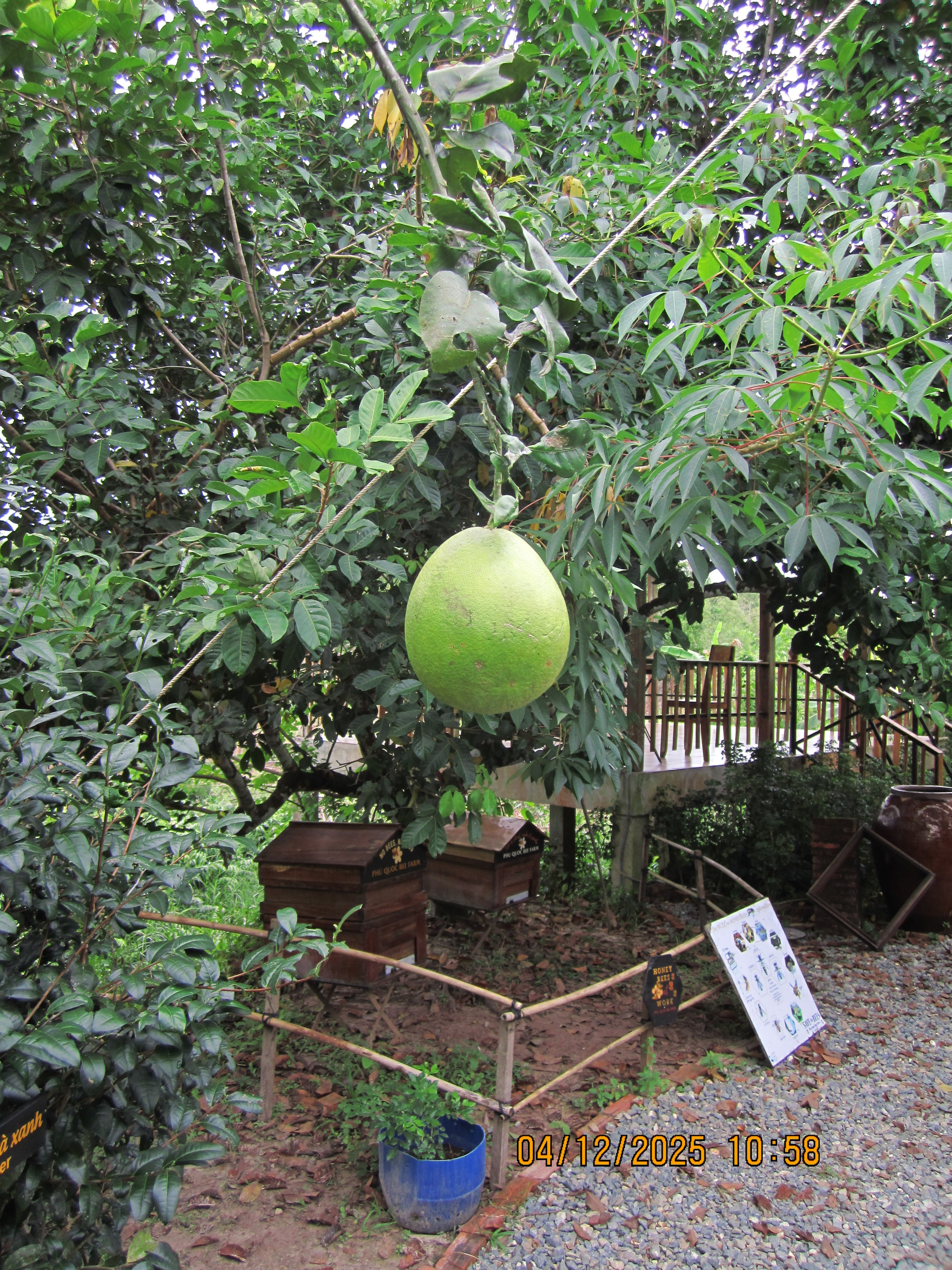 Десятый день. LondoSpeed Photography