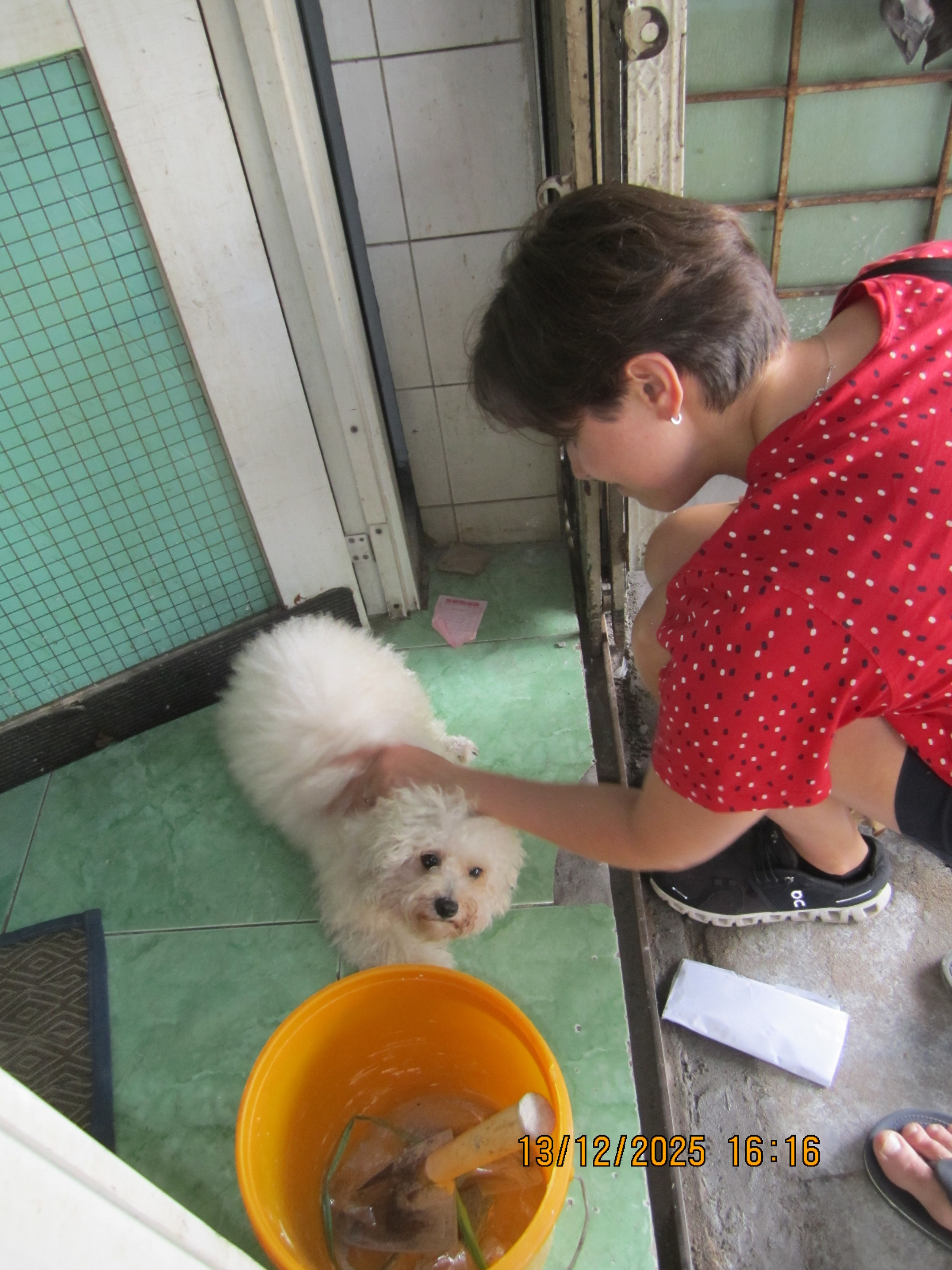 Девятнадцатый день. LondoSpeed Photography