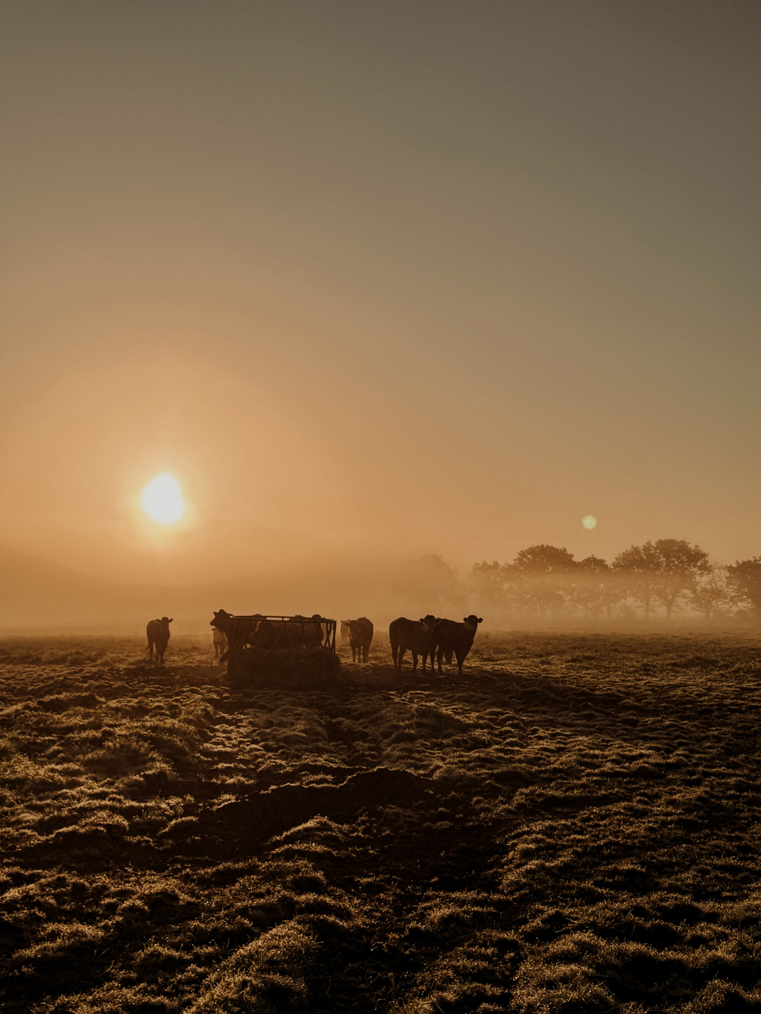 Ranches & Farms. Annah Louwagie — Lifestyle photographer for couples, families & brands | France & worldwide