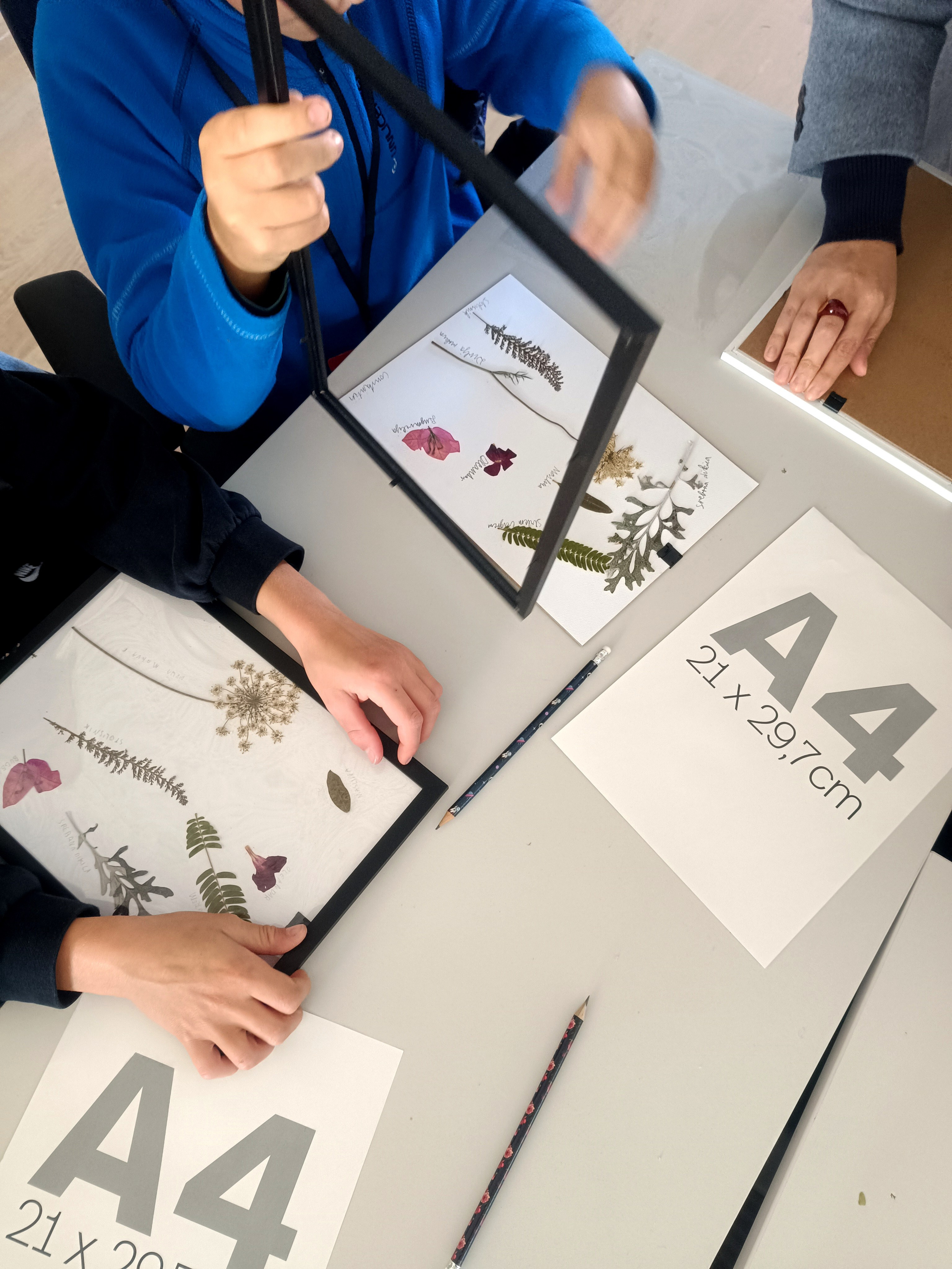 Suradnja Herbarij studija i Udruge Mala filozofija. Herbarij studio