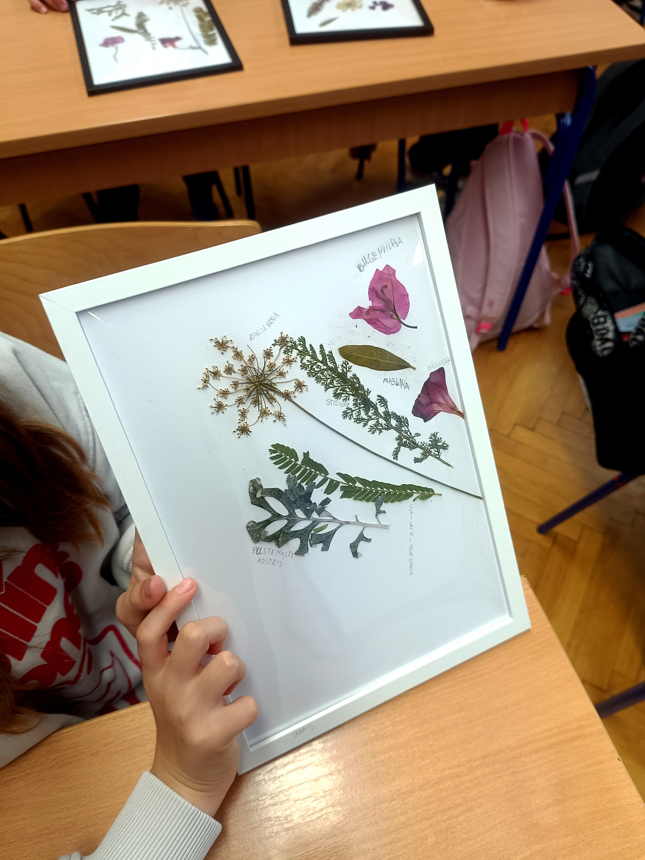 Suradnja Herbarij studija i Udruge Mala filozofija. Herbarij studio