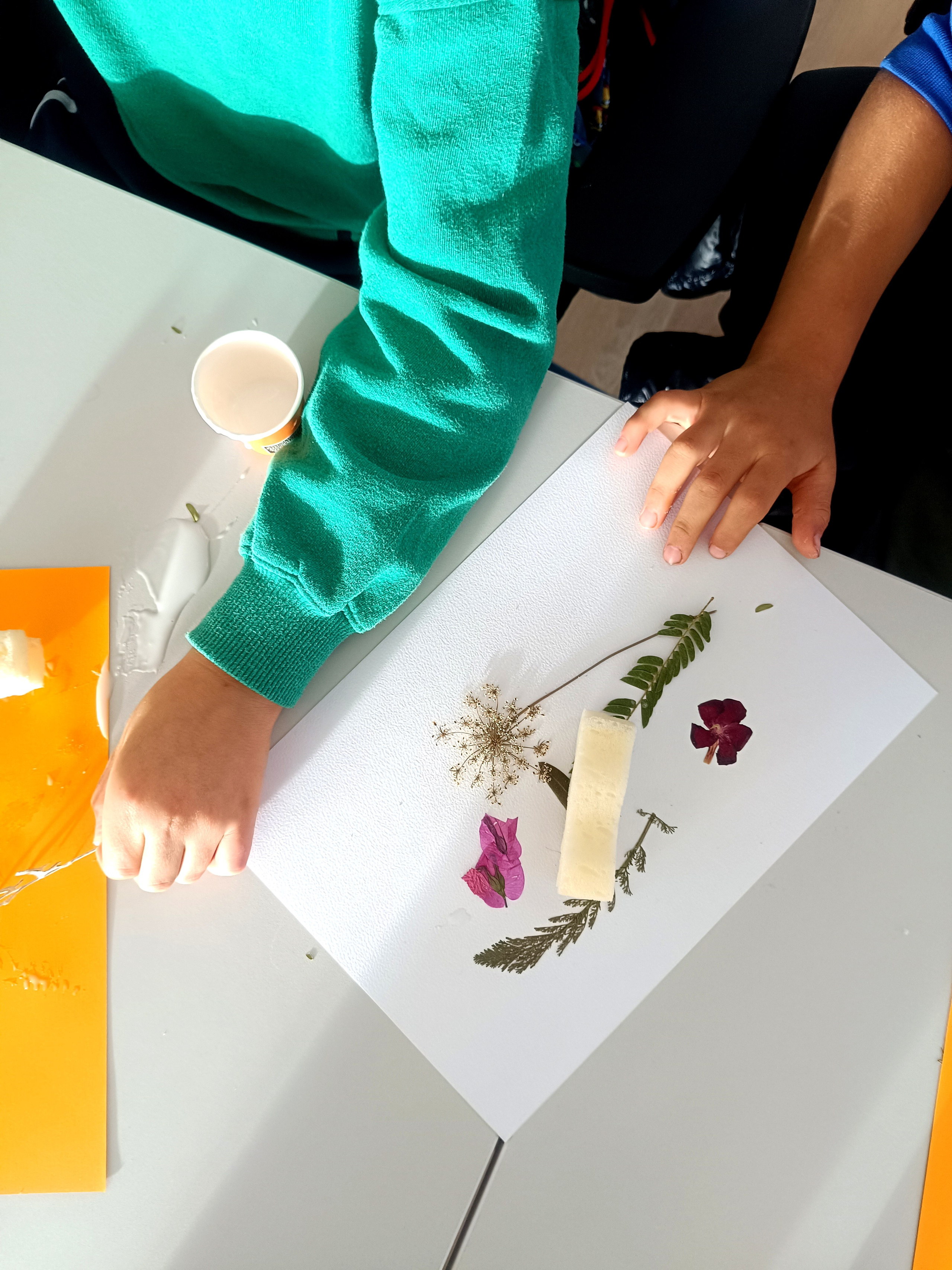 Suradnja Herbarij studija i Udruge Mala filozofija. Herbarij studio